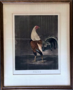 Pair of Framed Engravings of Cock Fighting Birds, Titled "War" & "Peace"