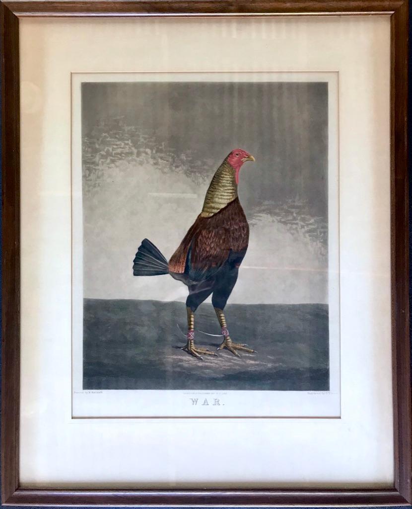 Charles Turner Animal Print - Pair of Framed Engravings of Cock Fighting Birds, Titled "War" & "Peace"