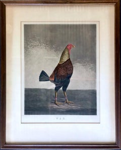 Pair of Framed Engravings of Cock Fighting Birds, Titled "War" & "Peace"