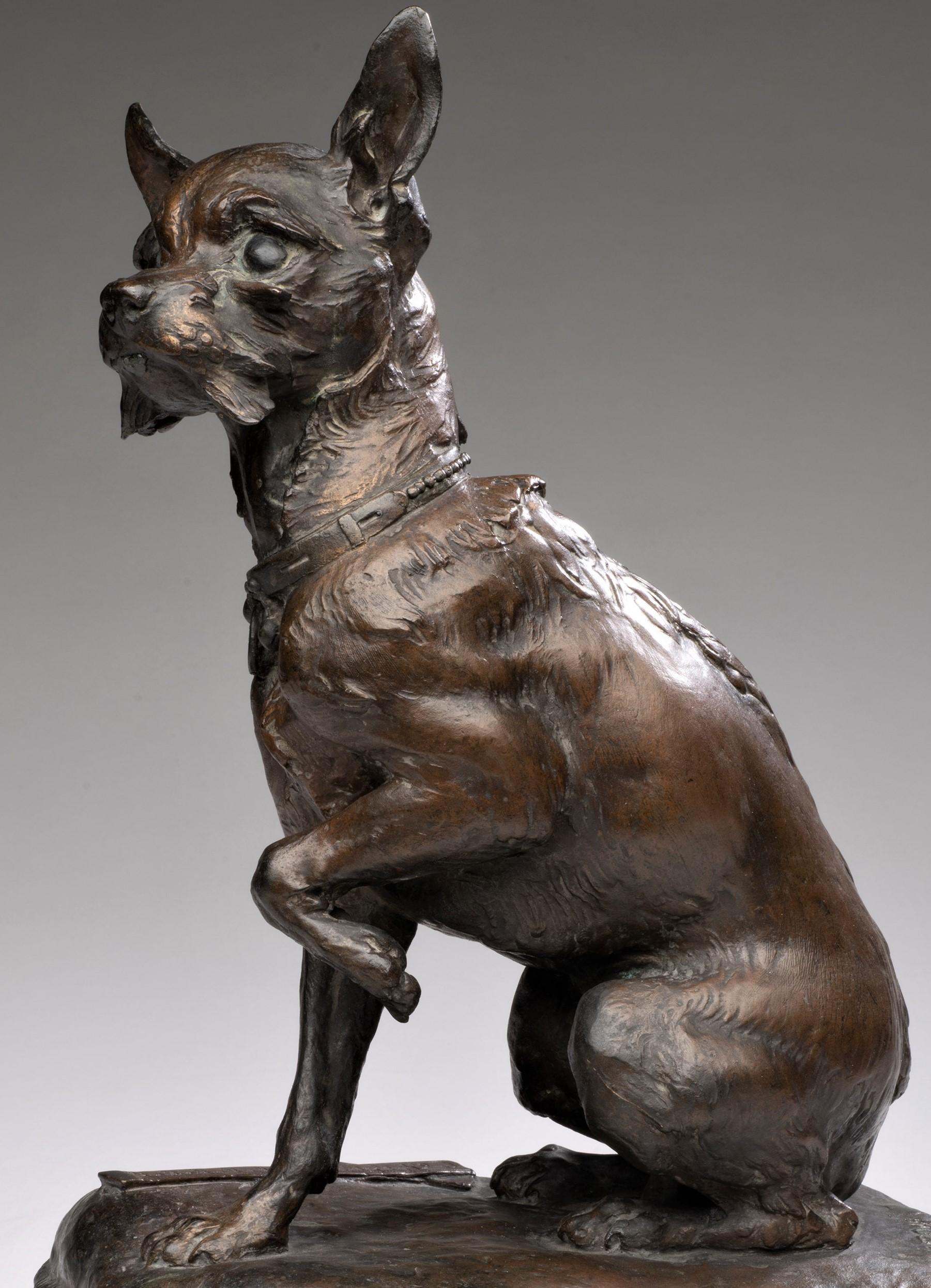 Rare, Antique, Life-Size Dog Bronze of a Chihuahua 