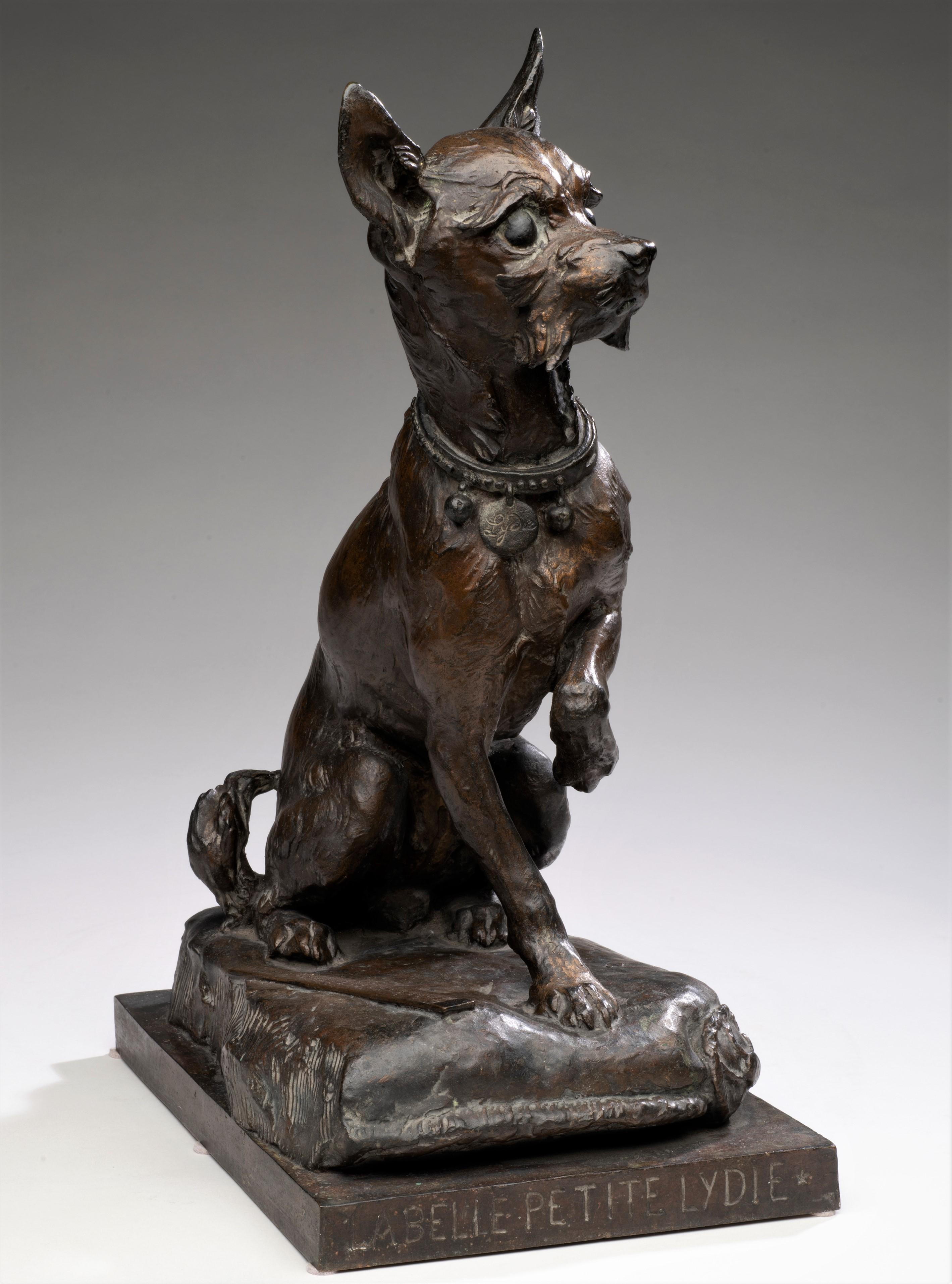 Rare bronze ancien grandeur nature d'un chien chihuahua 