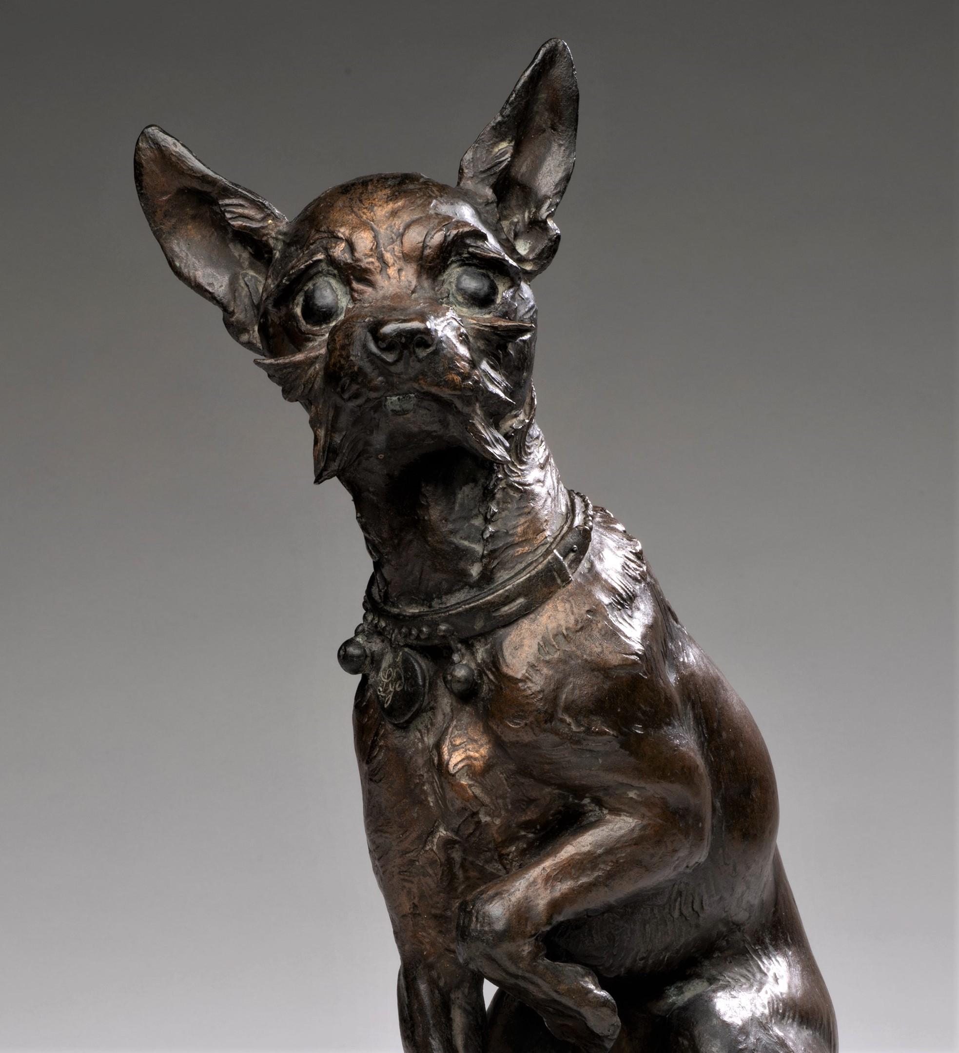 Rare, Antique, Life-Size Dog Bronze of a Chihuahua 