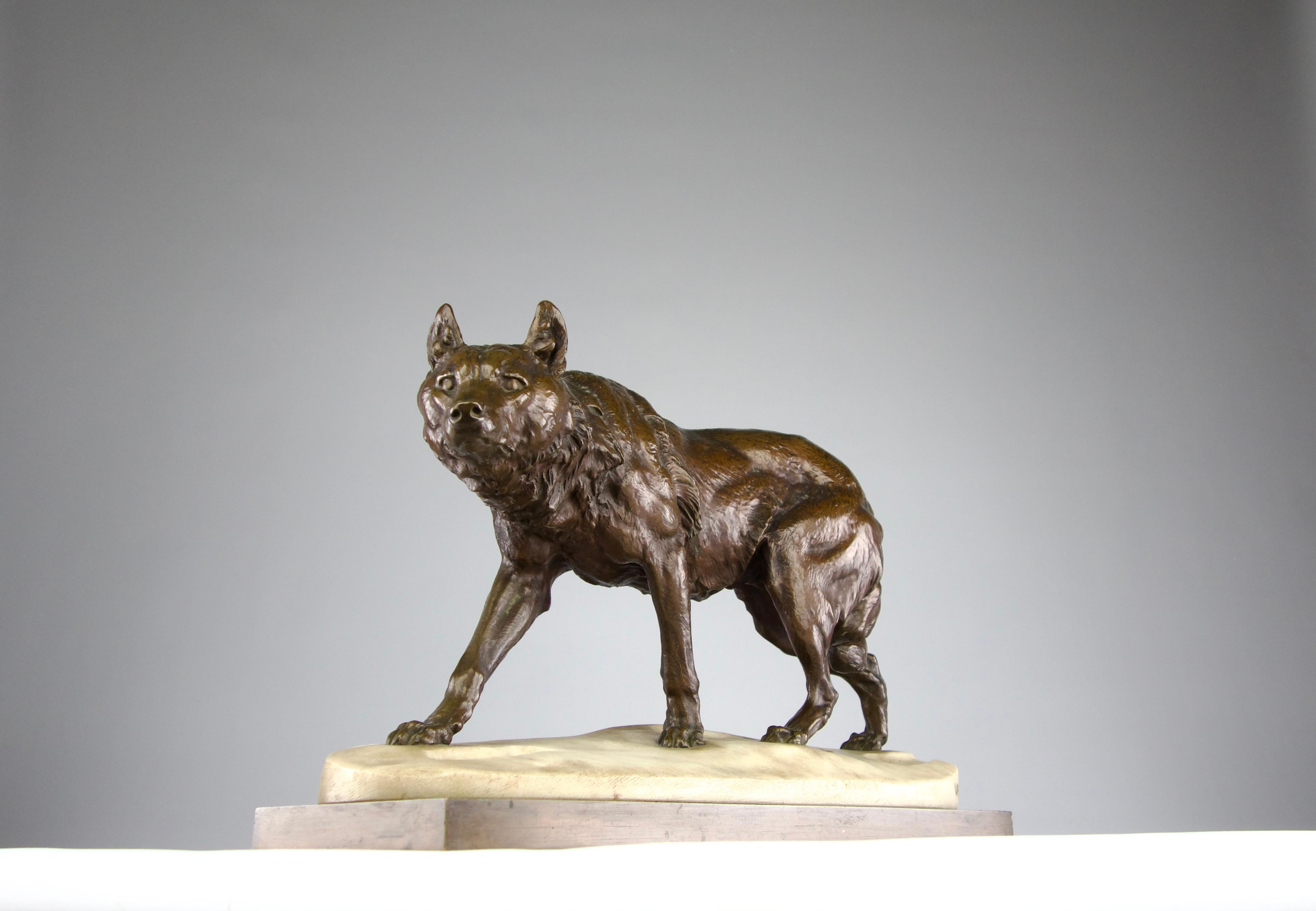 French Charles Valton, The Tracking Wolf, Romantic Period Sculpture 19th Century France For Sale