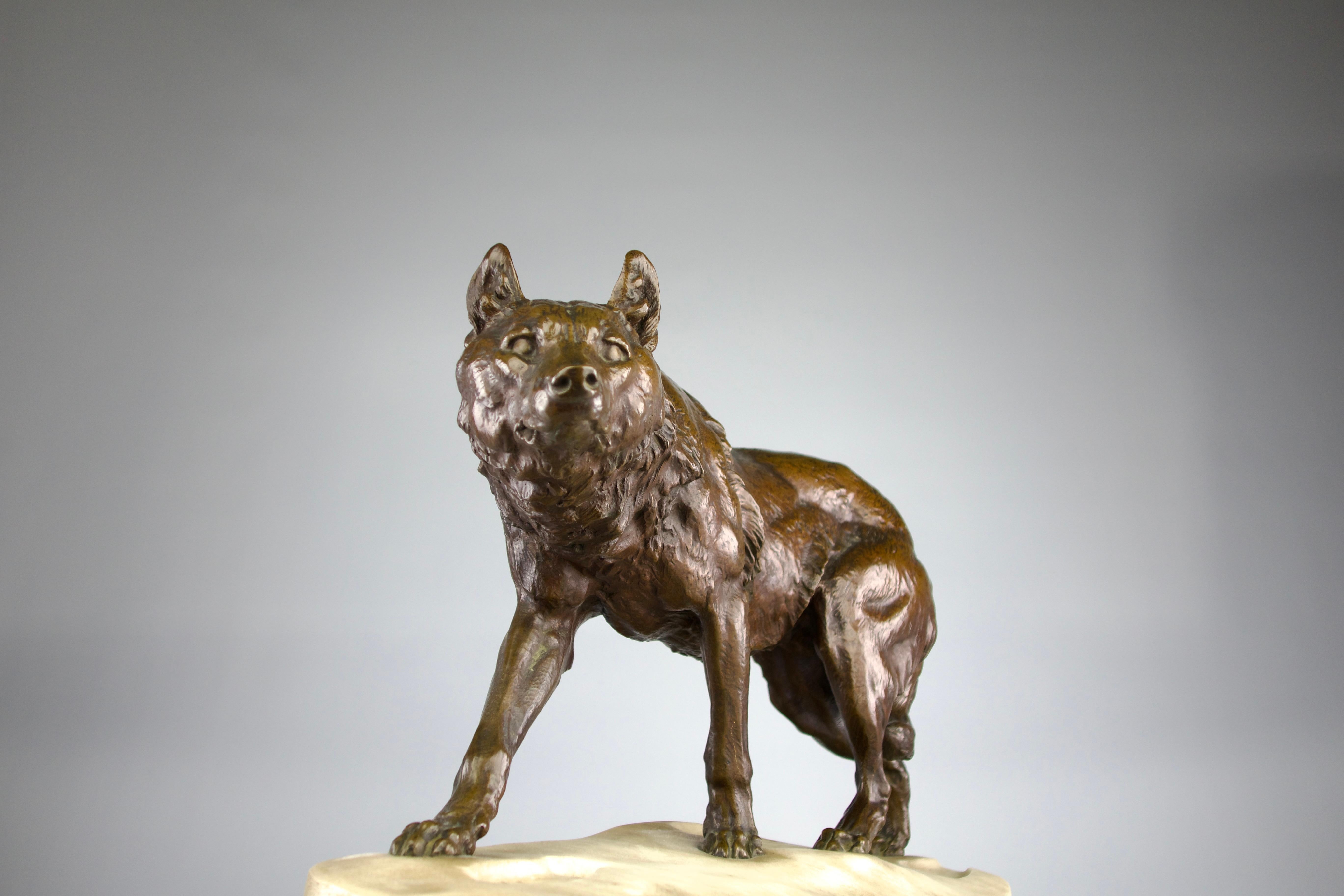 Carved Charles Valton, The Tracking Wolf, Romantic Period Sculpture 19th Century France For Sale