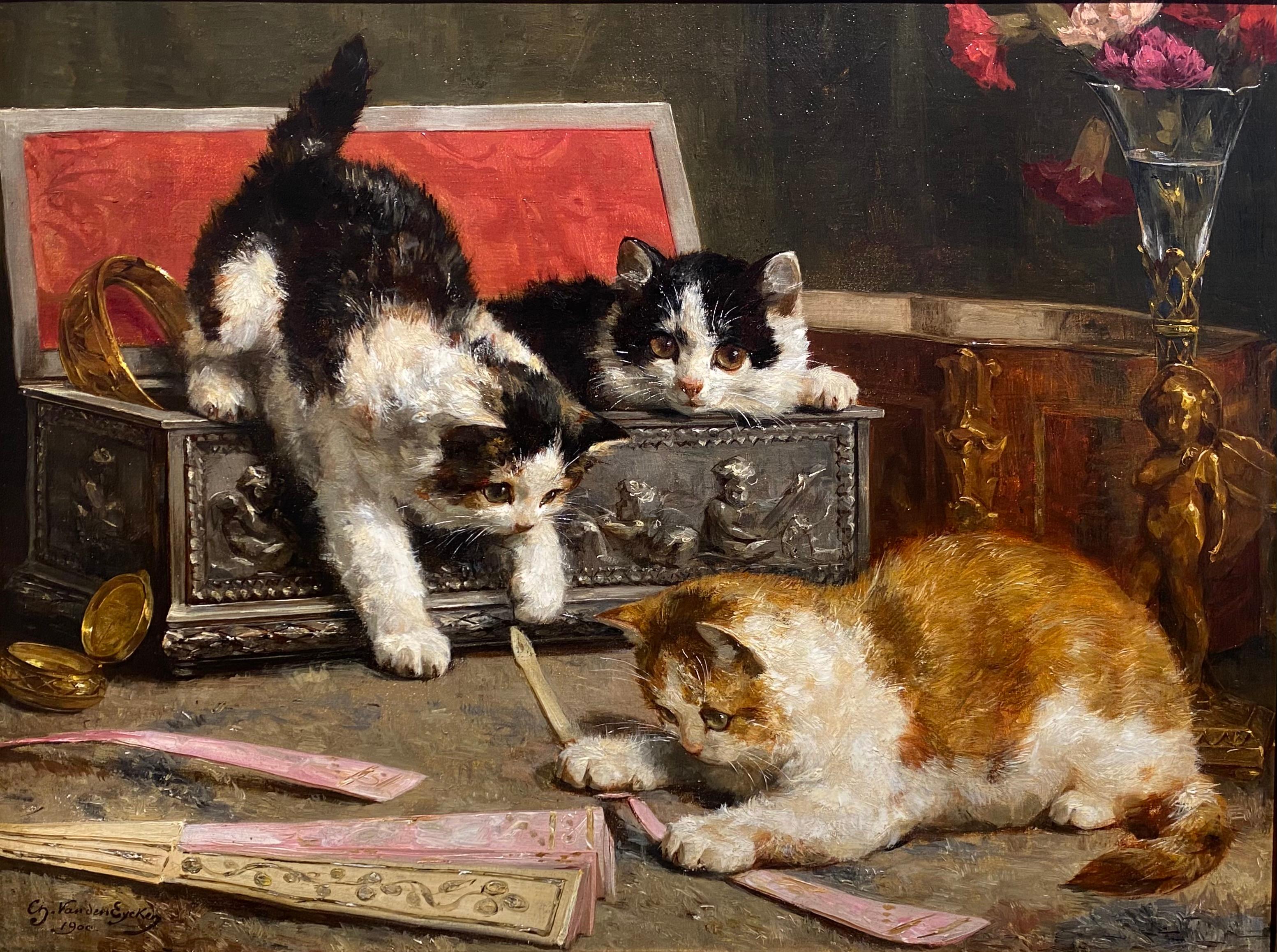 Les chatons curieux