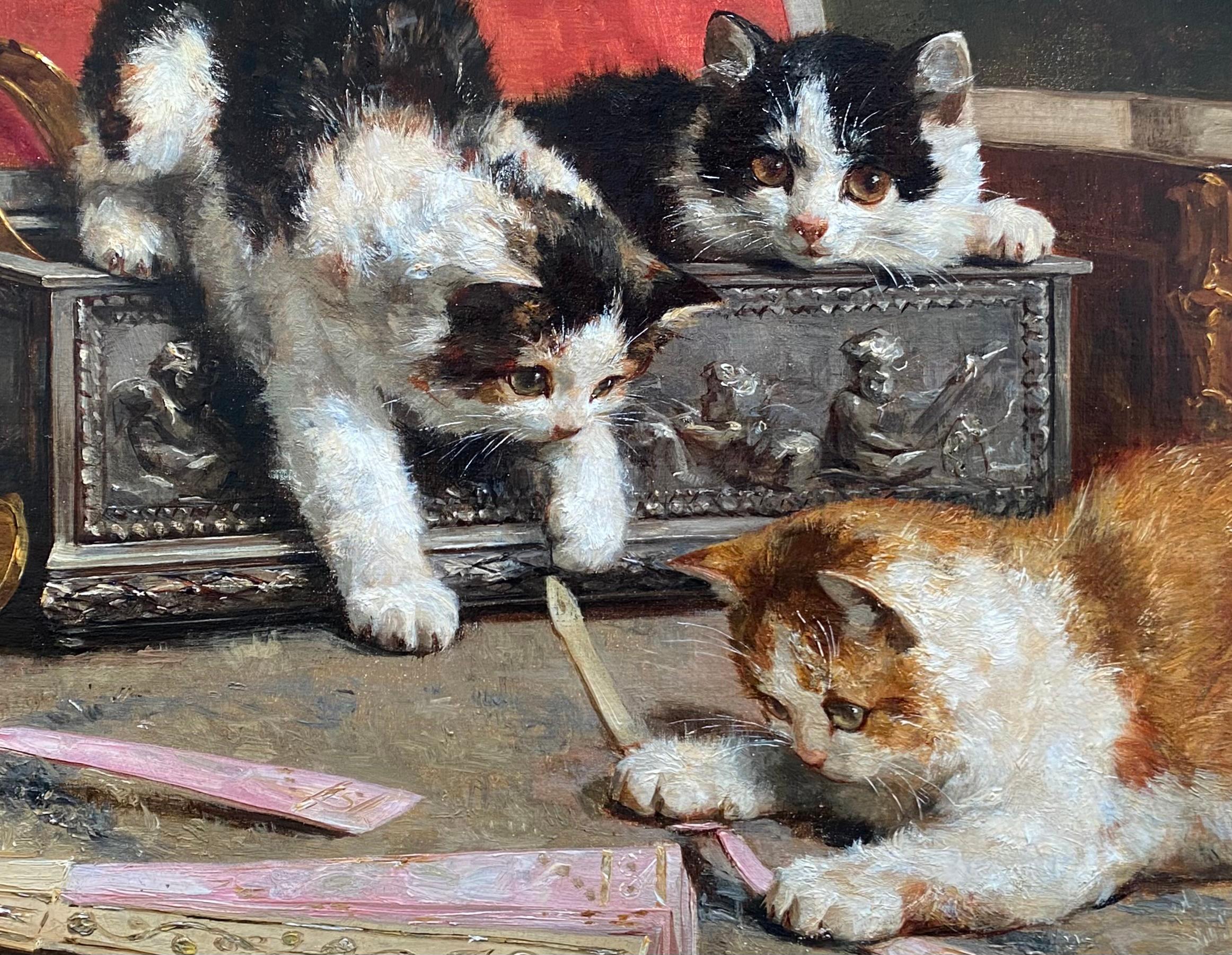Les chatons curieux