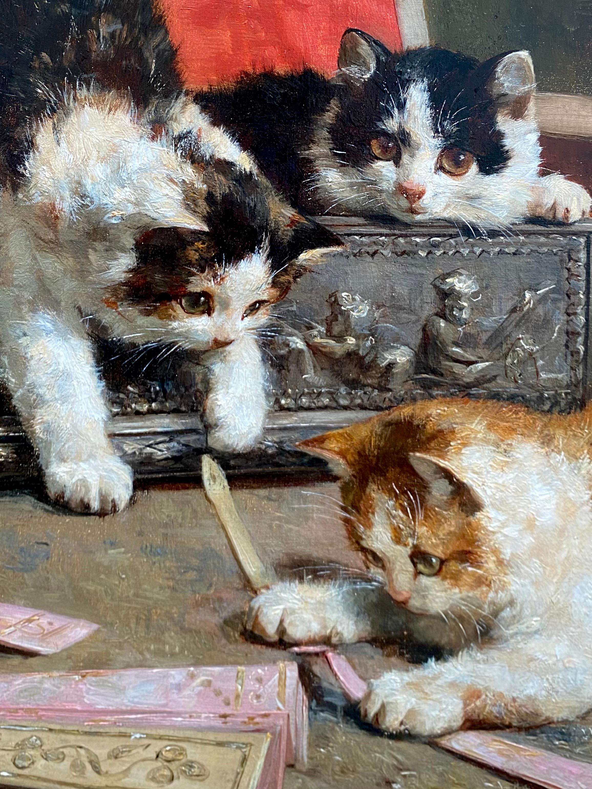 Les chatons curieux