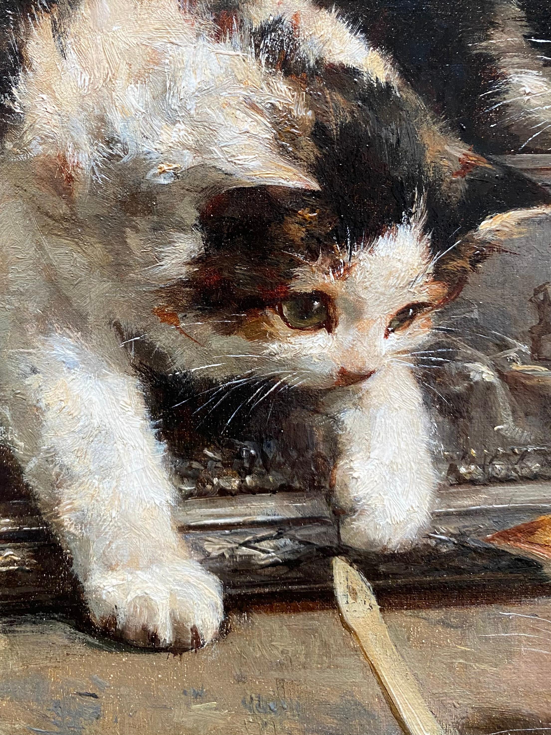 Les chatons curieux