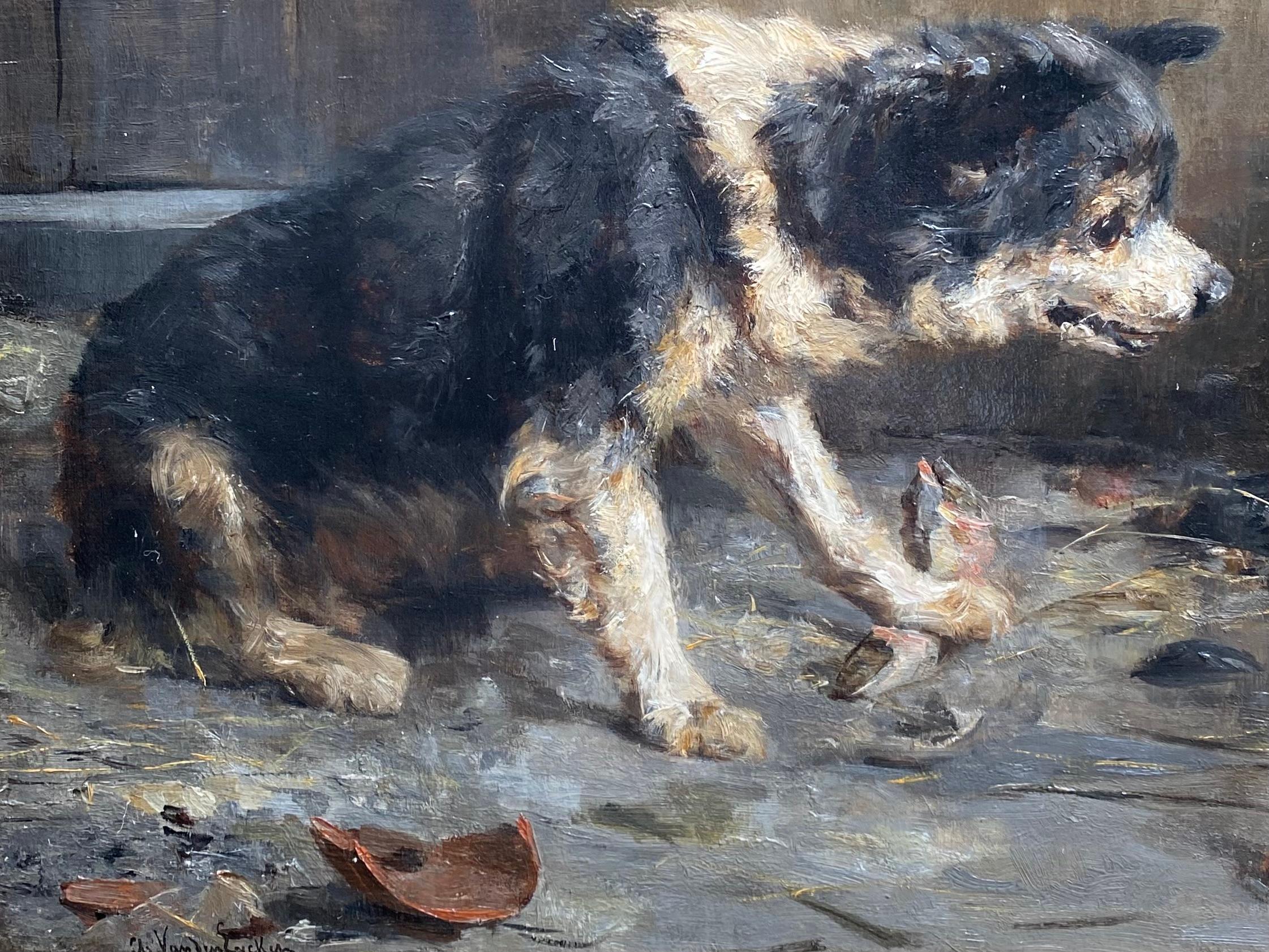 Hund, der sein Mittagessen beschützt