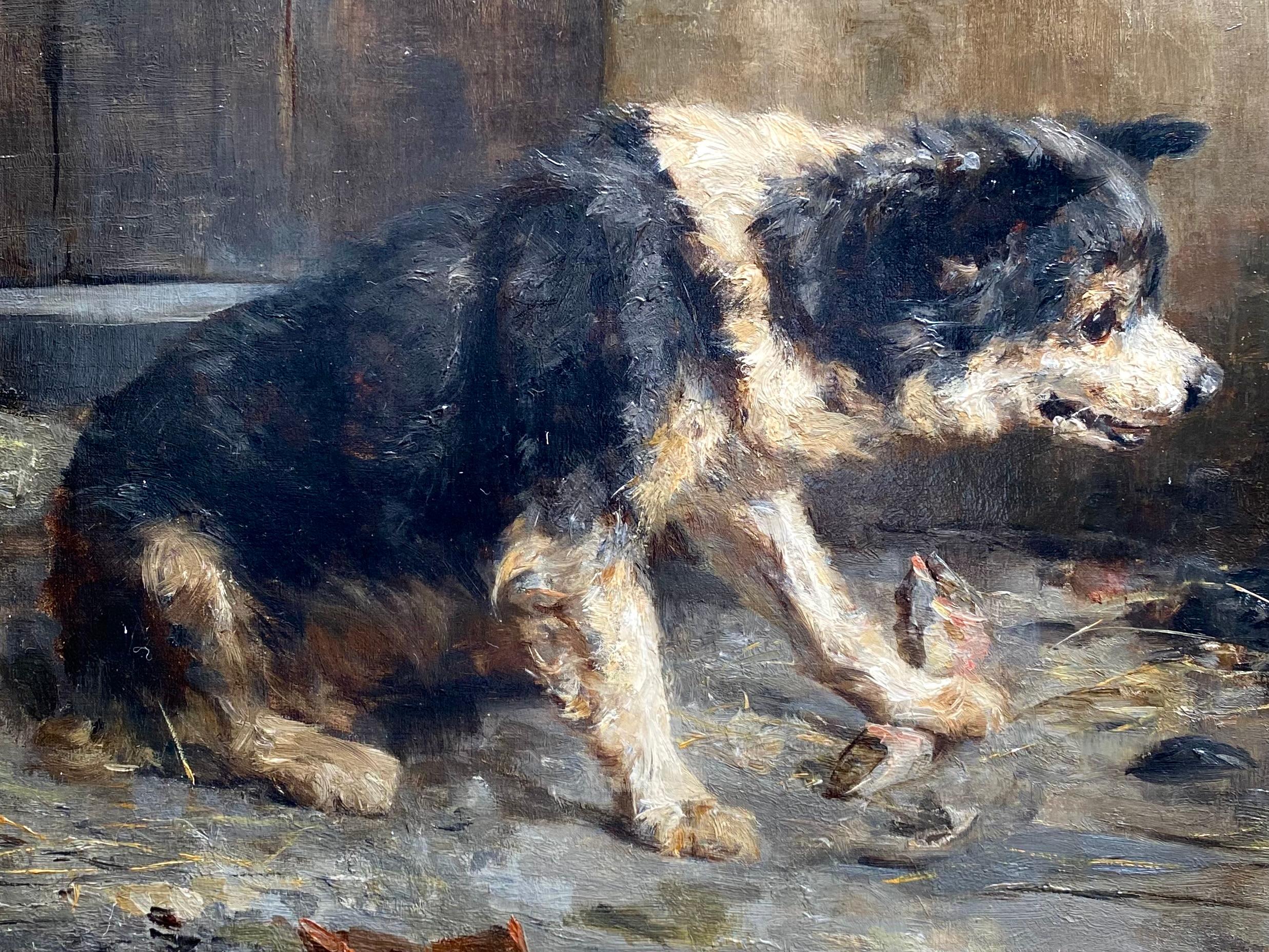 Hund, der sein Mittagessen beschützt