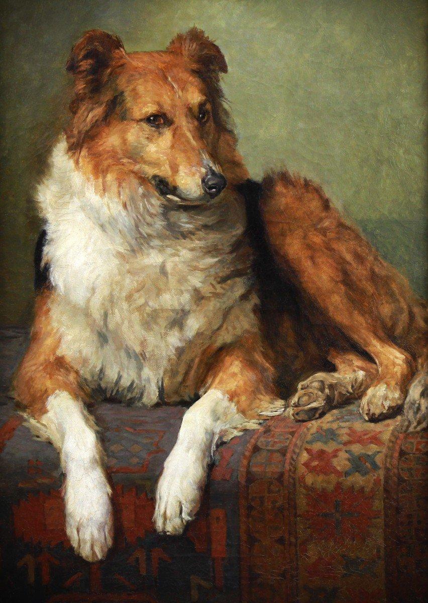 Portrait Of Dog By Charles Van Den Eycken Belgian School 19th For Sale 1