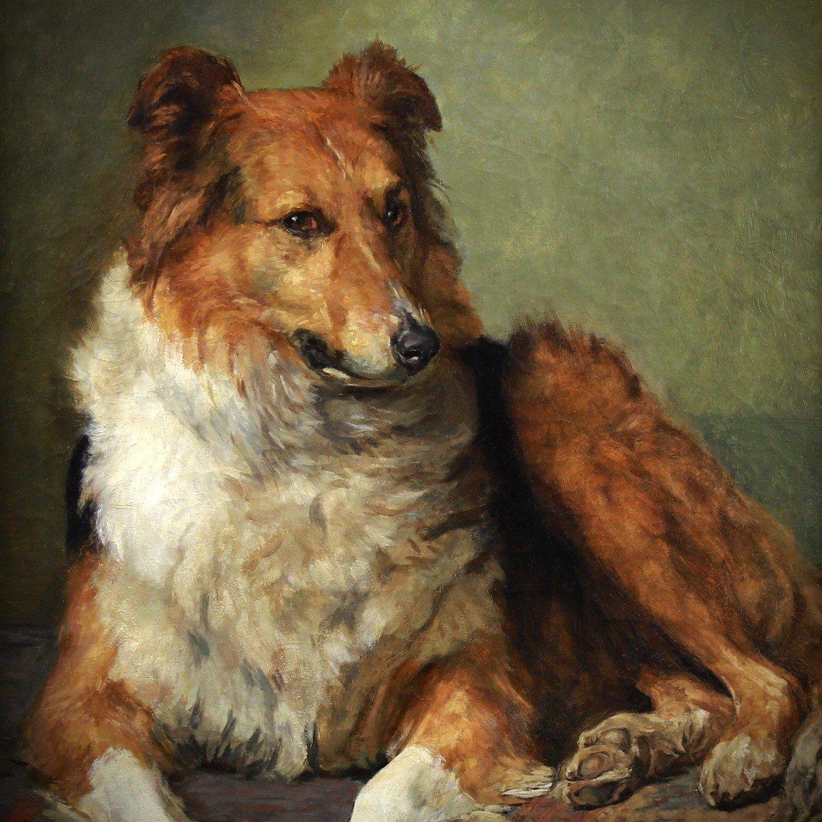 Portrait de chien par Charles Van DEN école belge 19ème - Marron Animal Painting par Charles Van Den Eycken