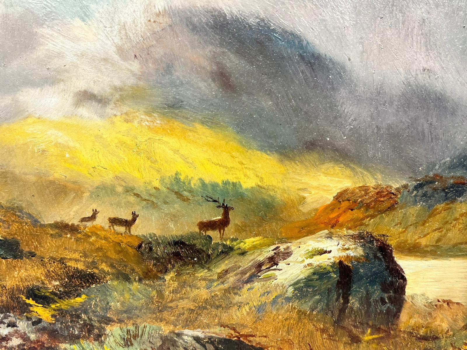 Victorian Signed Oil Family of Stags Scottish Highland Landscape beside Loch For Sale 1