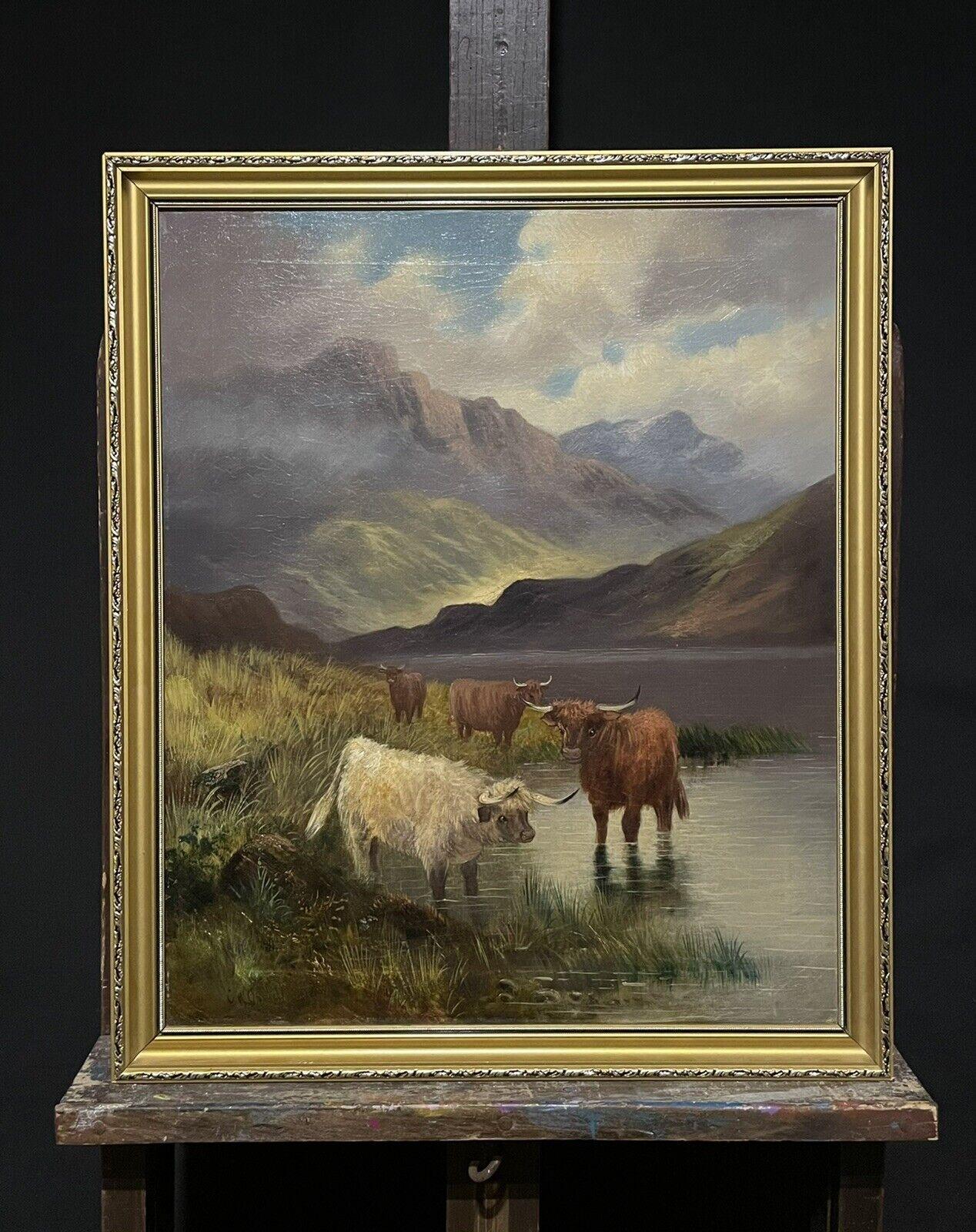 highland cow painting - scottish artist