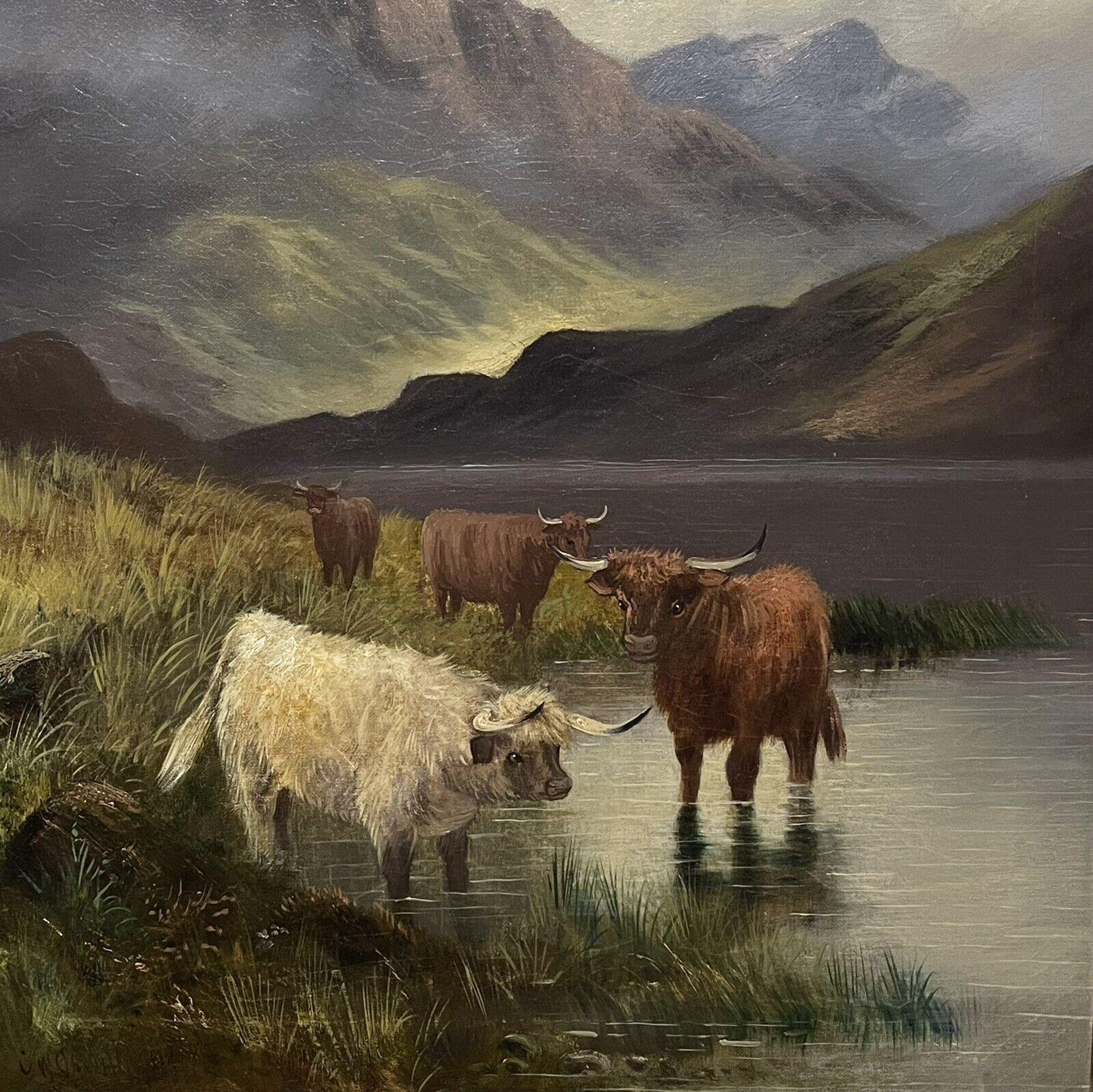 highland cow paintings for sale