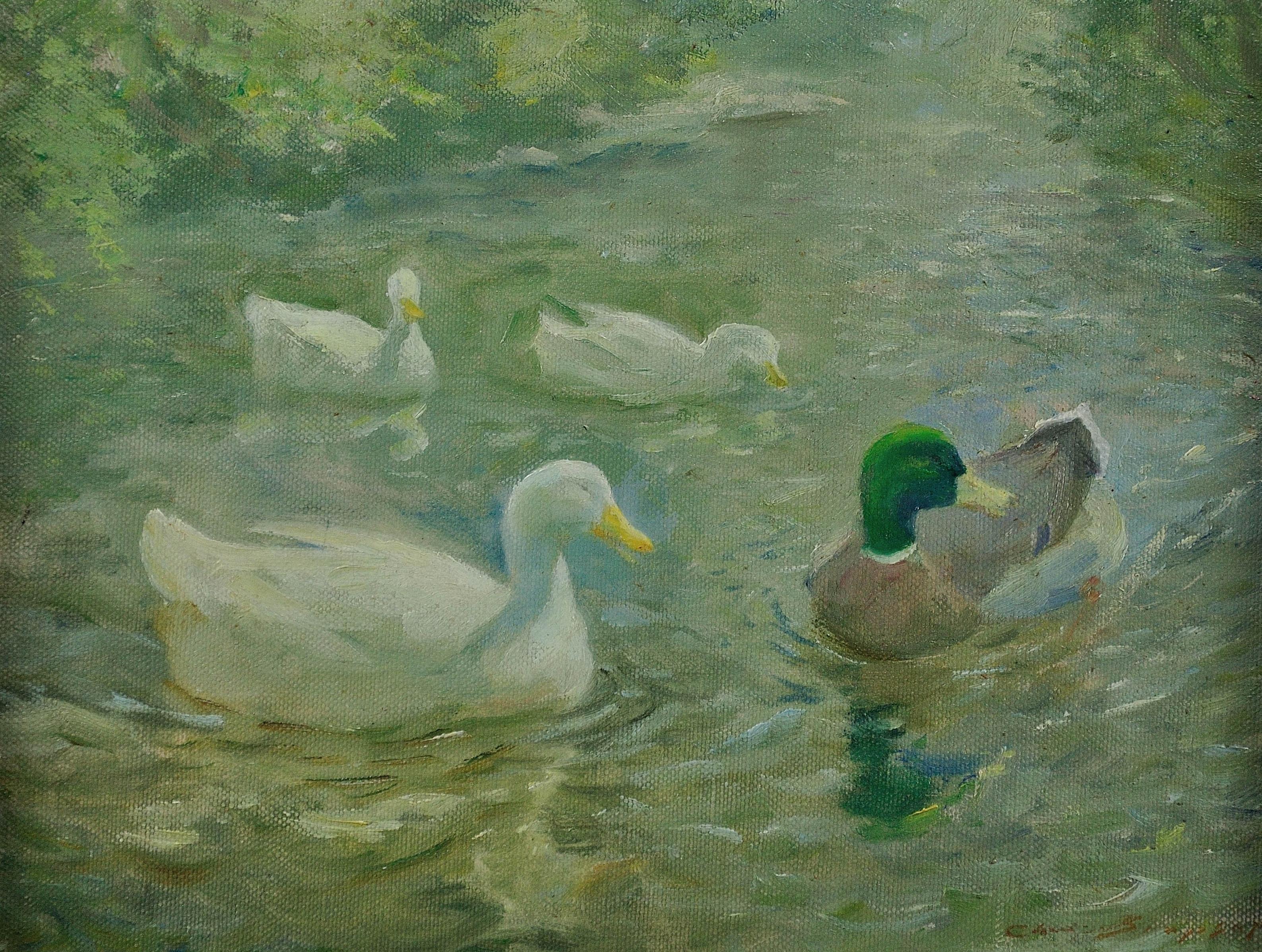 Haze and Sunshine. Swimming Ducks in Hazy Sunlight.Circa 1940. Lamorna Cornwall. - Painting by Charles Walter Simpson