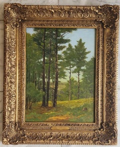 Pine Woods