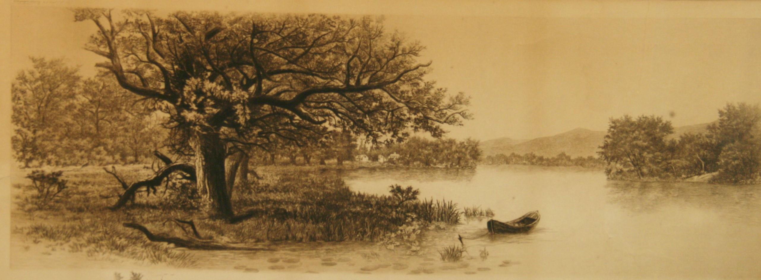 Antique Hudson River Engraving Oak Tree on the River 1897 - Print by Charles Westerly