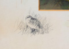 Una Corn Crake dopo Whymper alla fine del 20° secolo con disegno nella montatura