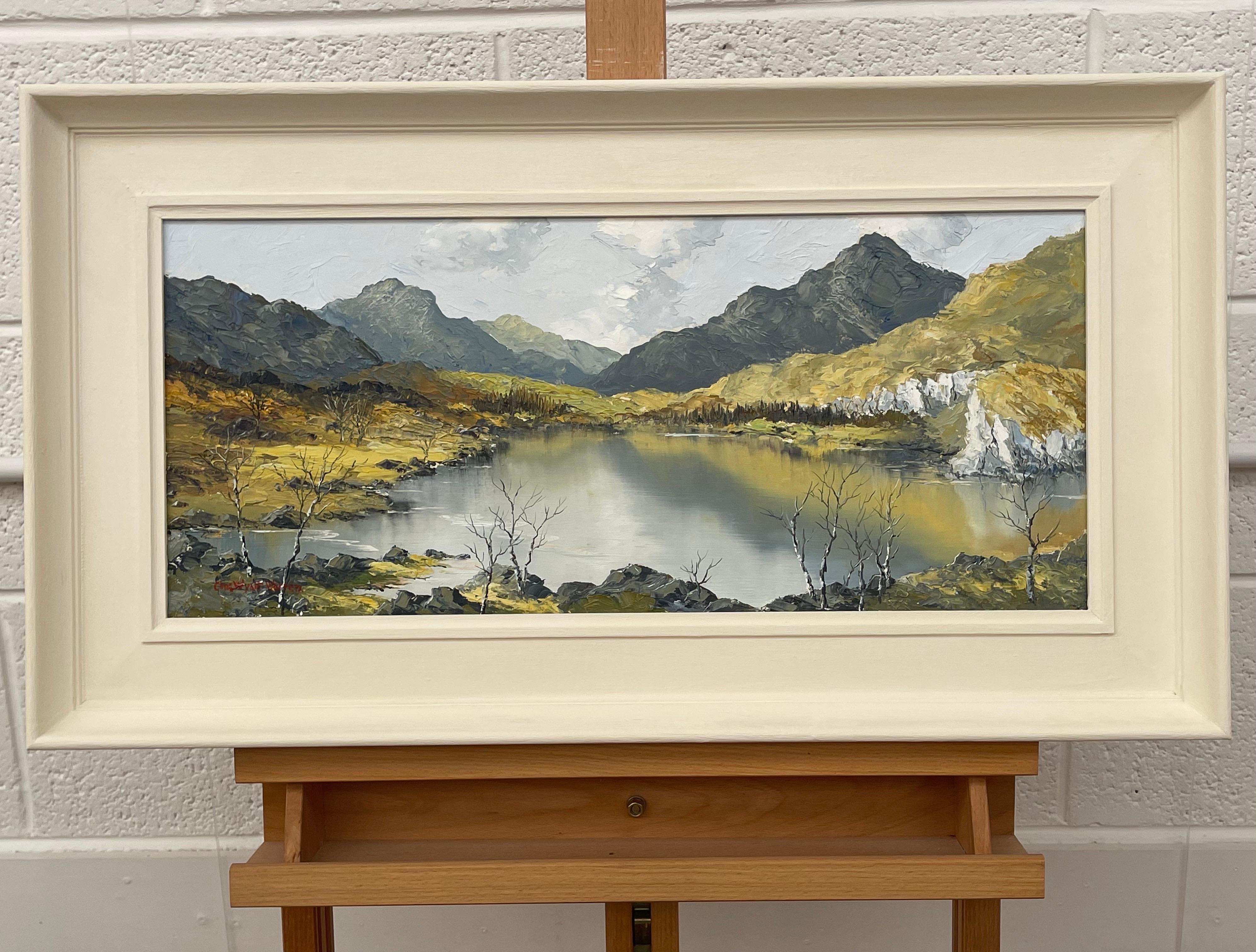 Ölgemälde Impasto, Welsh Mountain Lake Scene, britischer Künstler des 20. Jahrhunderts (Land), Painting, von Charles Wyatt Warren