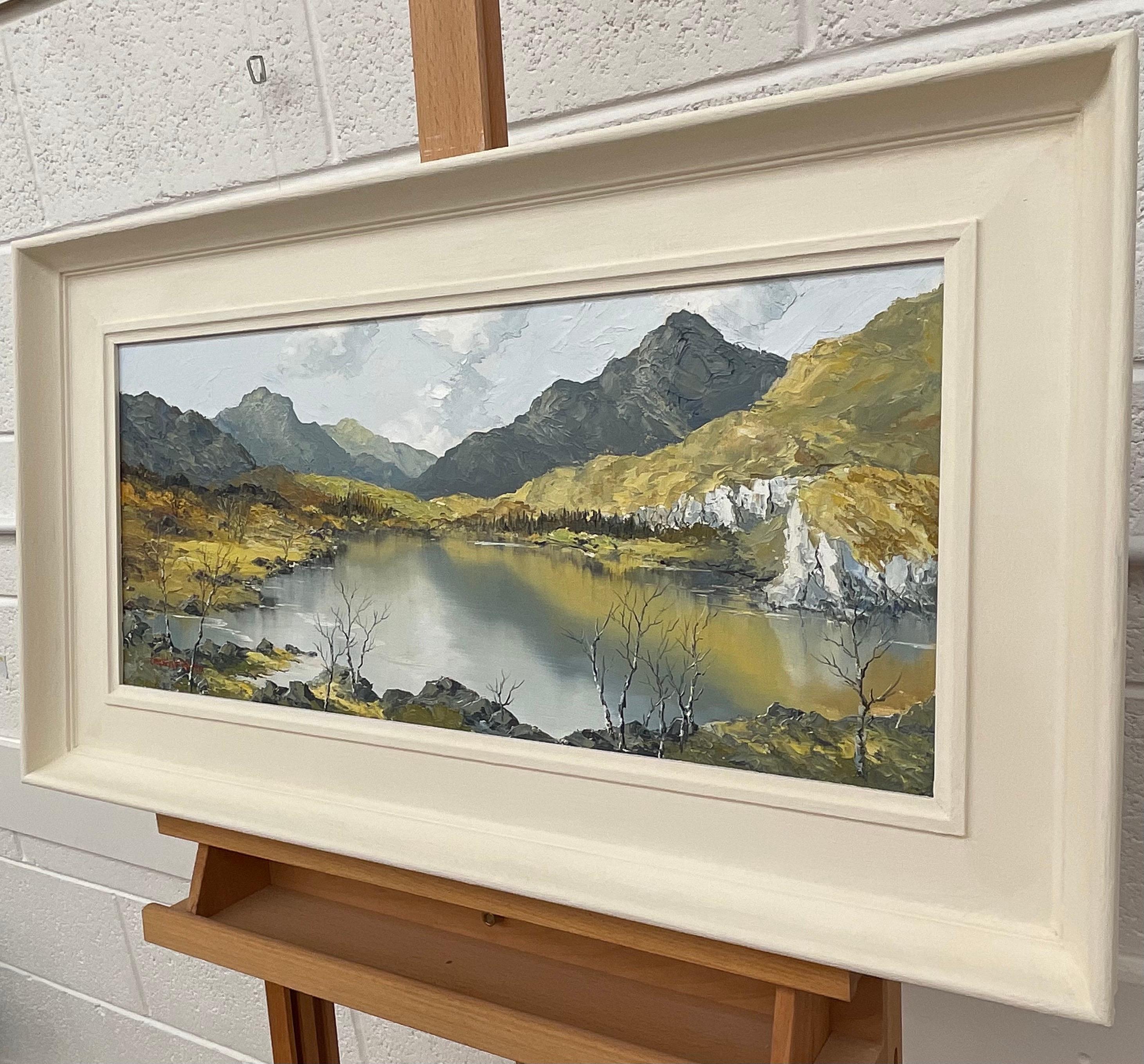 Ölgemälde Impasto, Welsh Mountain Lake Scene, britischer Künstler des 20. Jahrhunderts (Beige), Abstract Painting, von Charles Wyatt Warren