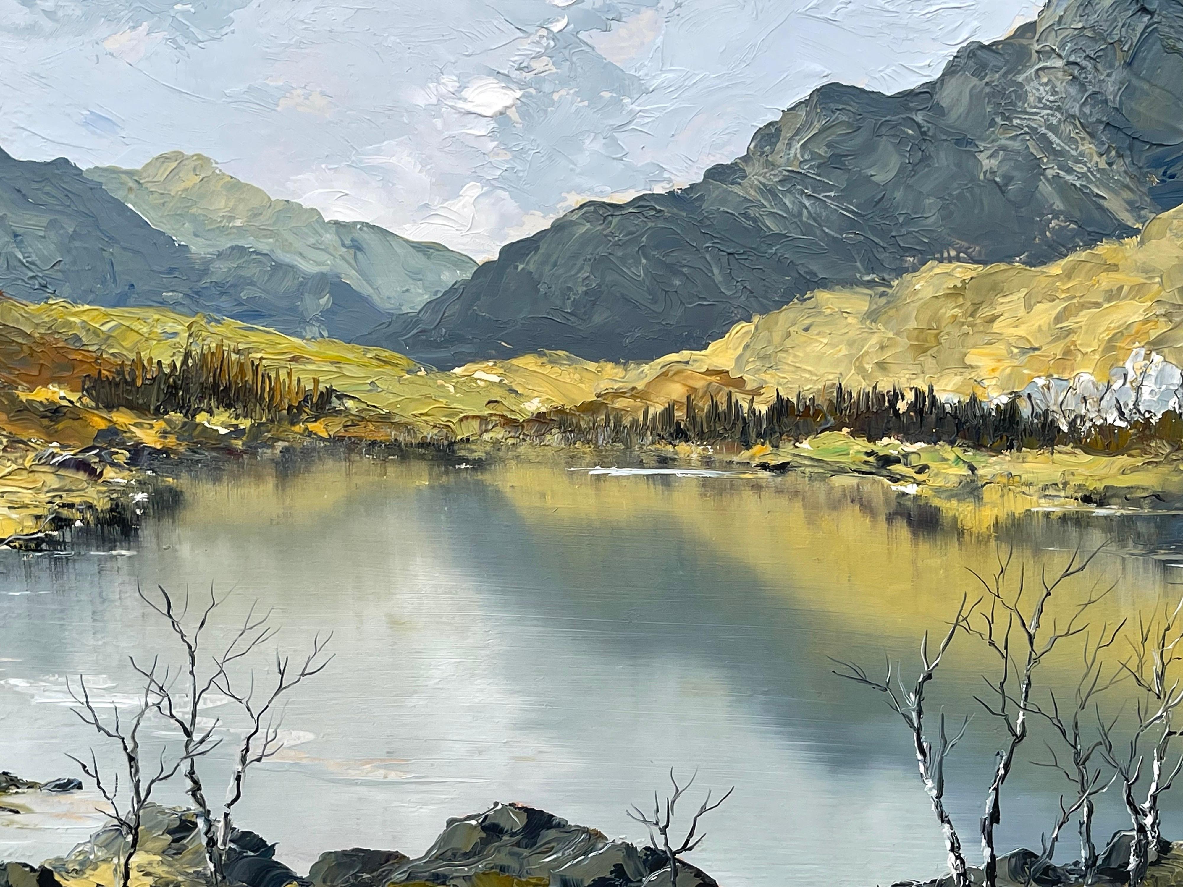 Ölgemälde Impasto, Welsh Mountain Lake Scene, britischer Künstler des 20. Jahrhunderts im Angebot 1