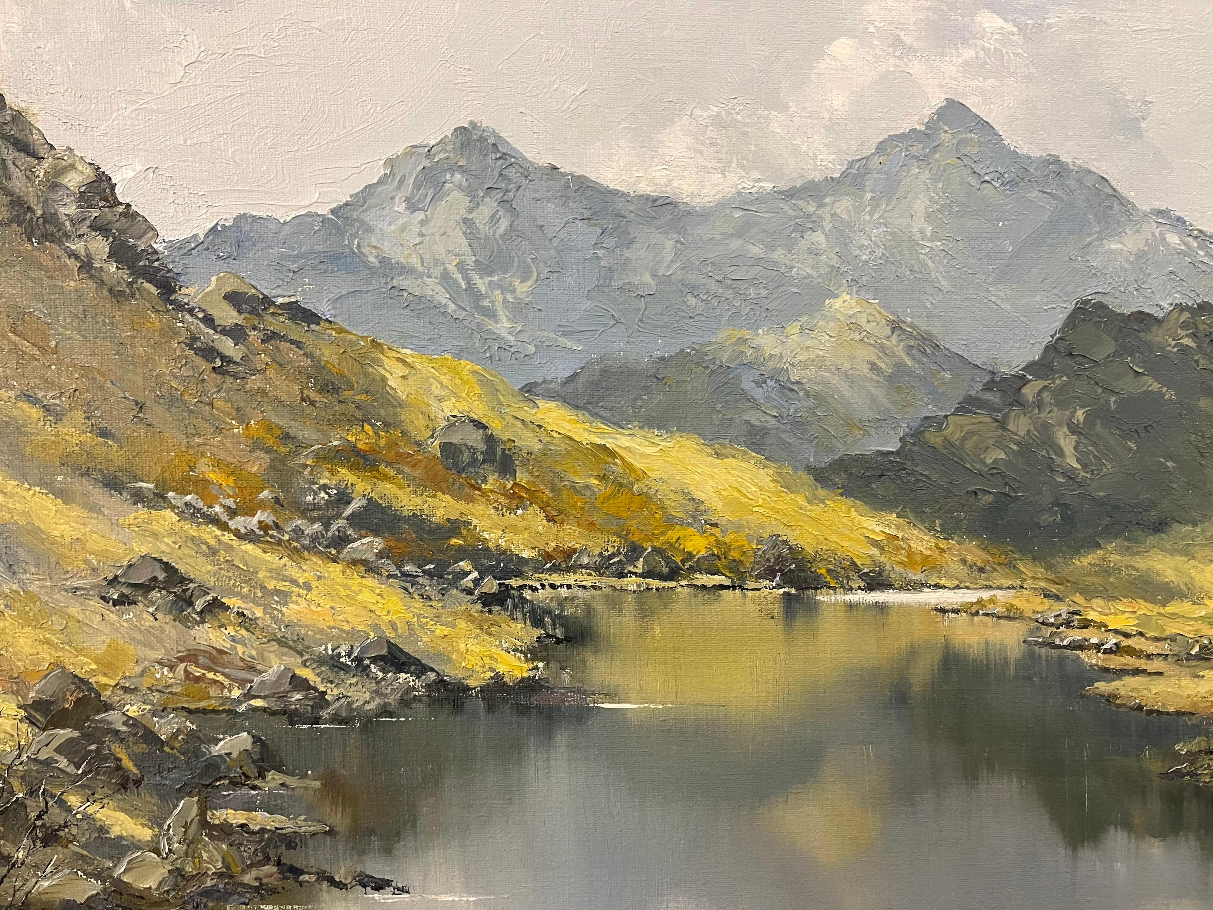 Welsh Landscape with Mountains & Lake Impasto Oil Painting by British Artist 4