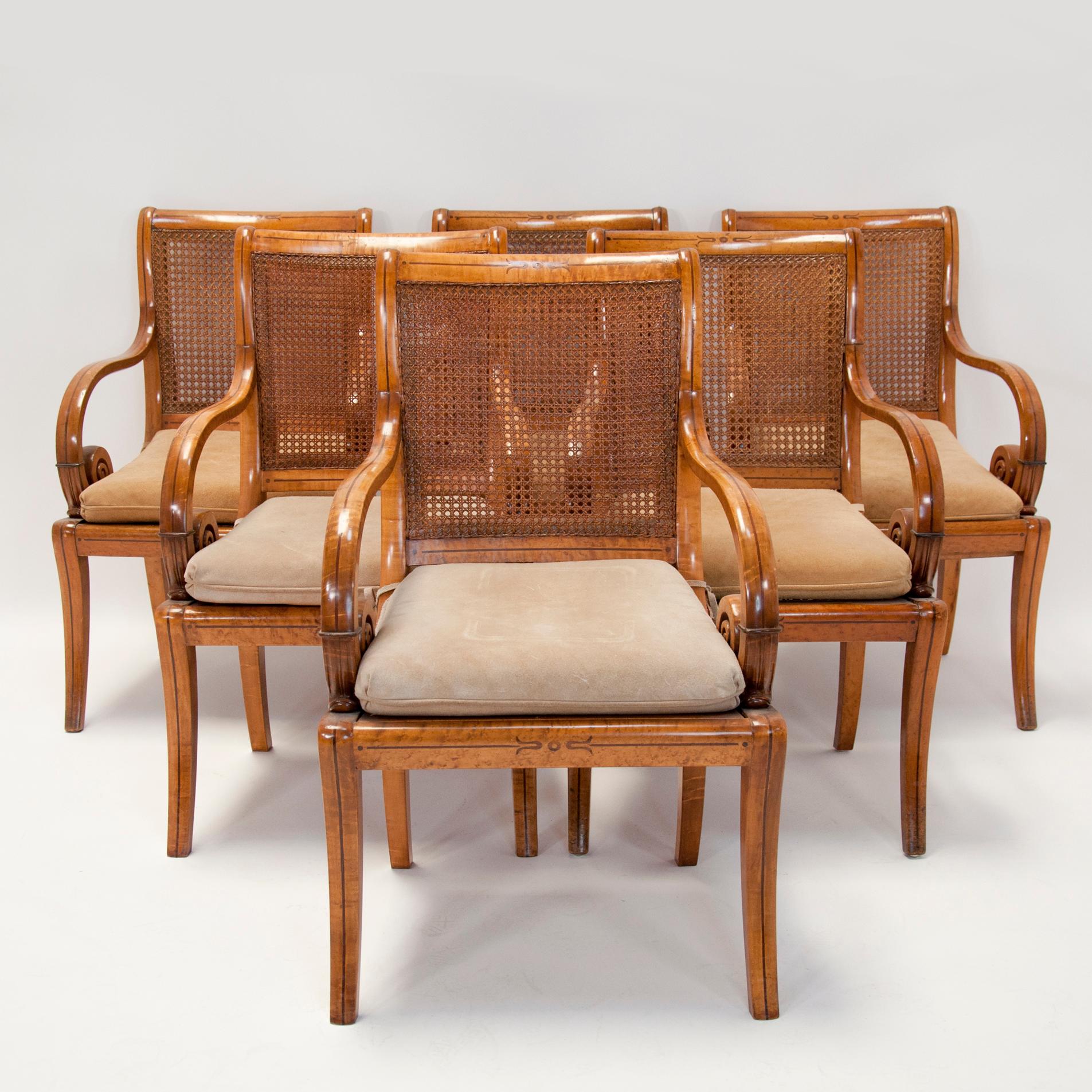 Set of six Charles X bird's-eye maple caned armchairs. Chairs consist of scrolled arms and removable suede cushions. Inlaid ebony stripe traces along seat back, arms, seat bottom, and legs.