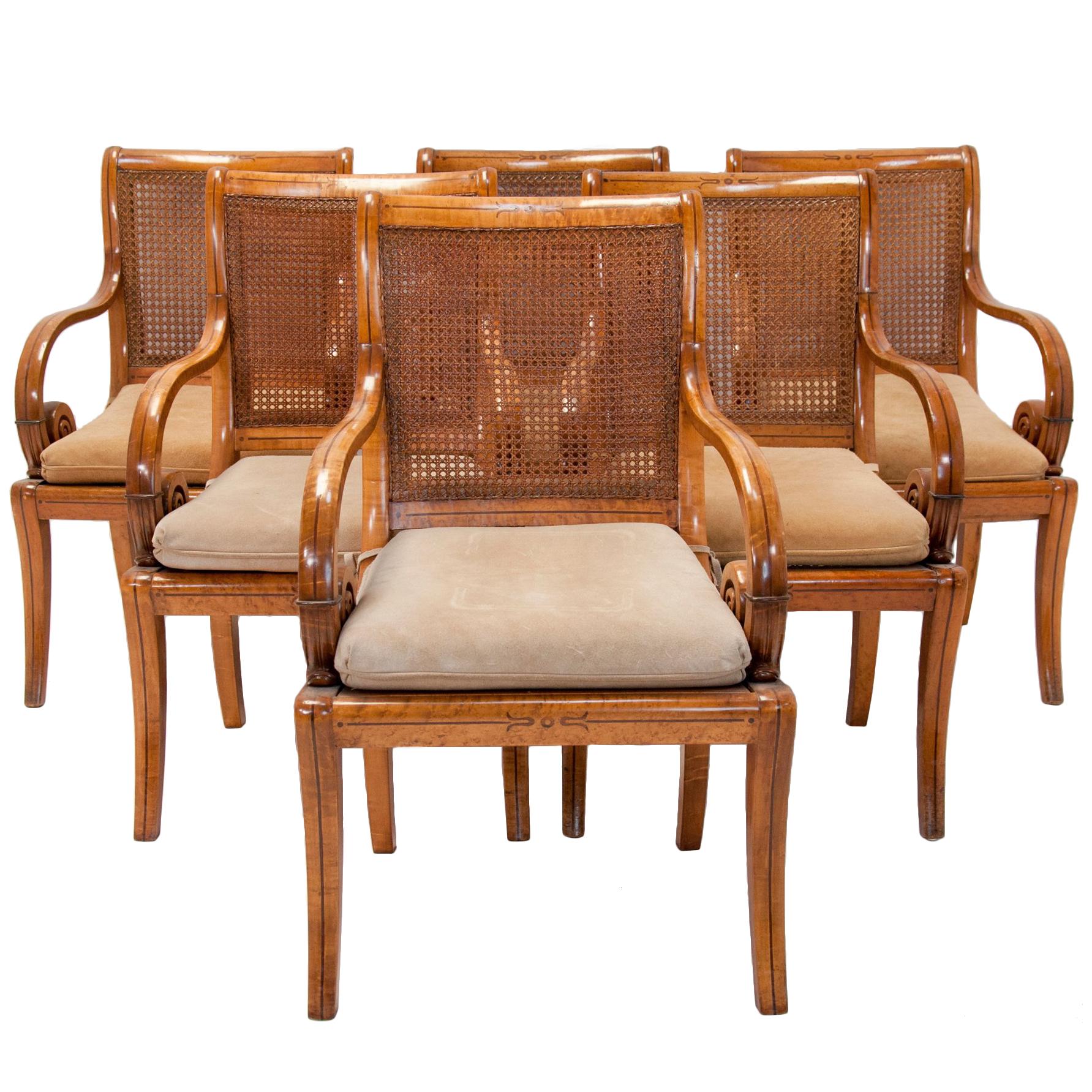 Charles X Bird's-Eye Maple Caned Armchairs For Sale