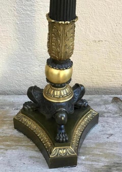 Charles X Style Bronze Candelabra, a Pair