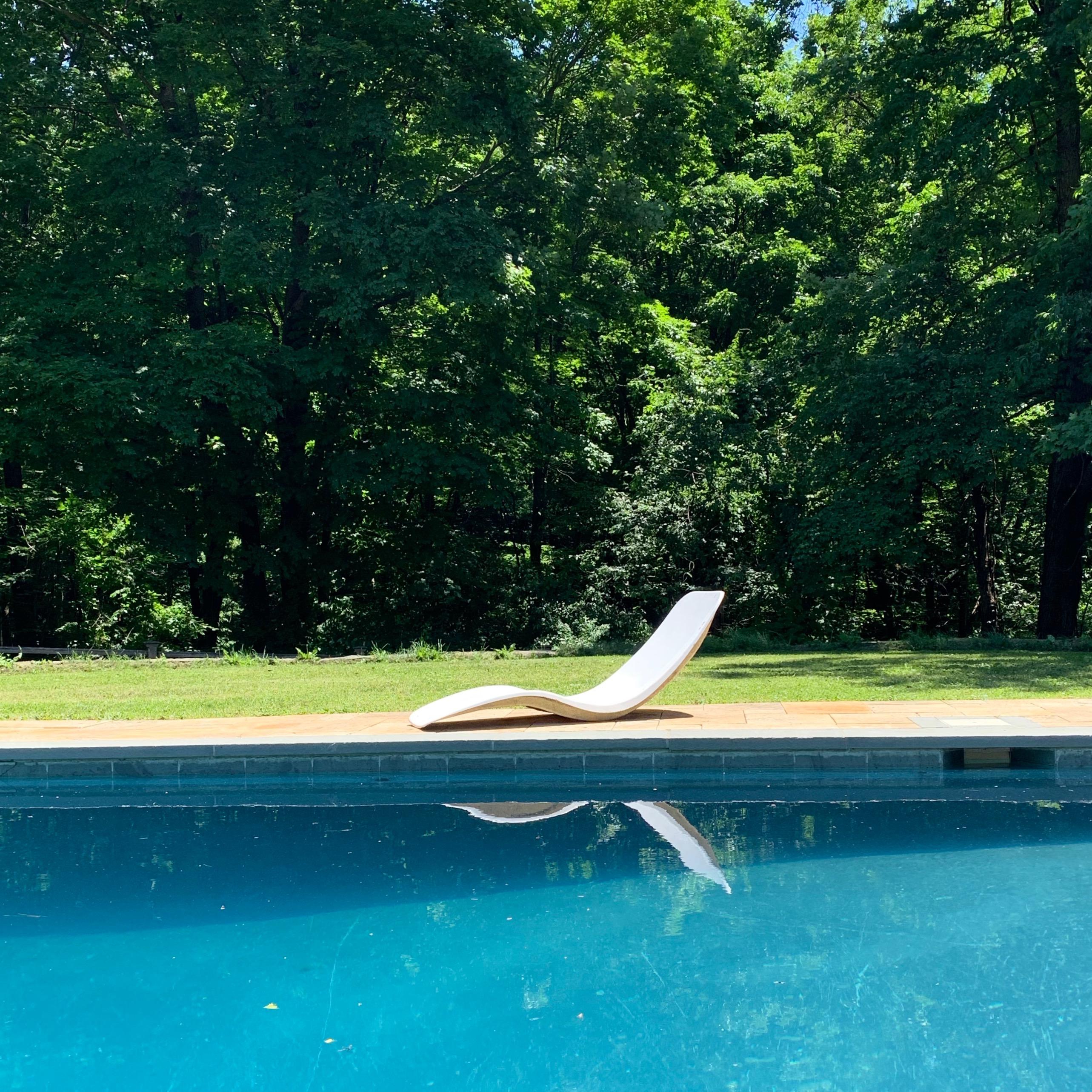 Mid-20th Century Charles Zublena Fiberglass Pool Chaise Lounges, France For Sale