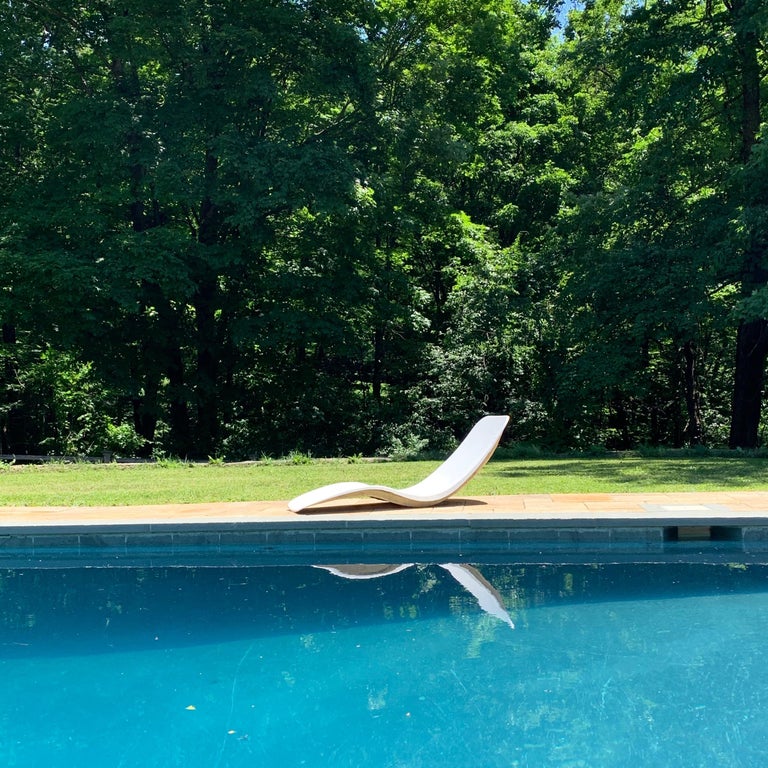 Charles Zublena Fiberglass Pool Chaise Lounges, France For Sale 3