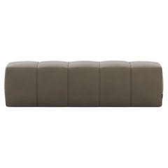 Charlie Bench in Leather, Contemporary Portuguese Design