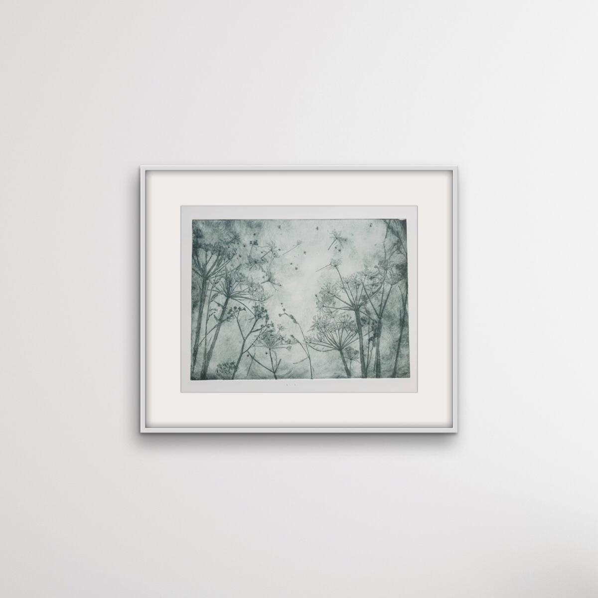 This soft ground etching was made using impressions of natural plants and printed with etching inks on Fabriano paper. This print is a variable edition of 100, and is signed, numbered and comes with a certificate of authenticity.

Charlie Davies,