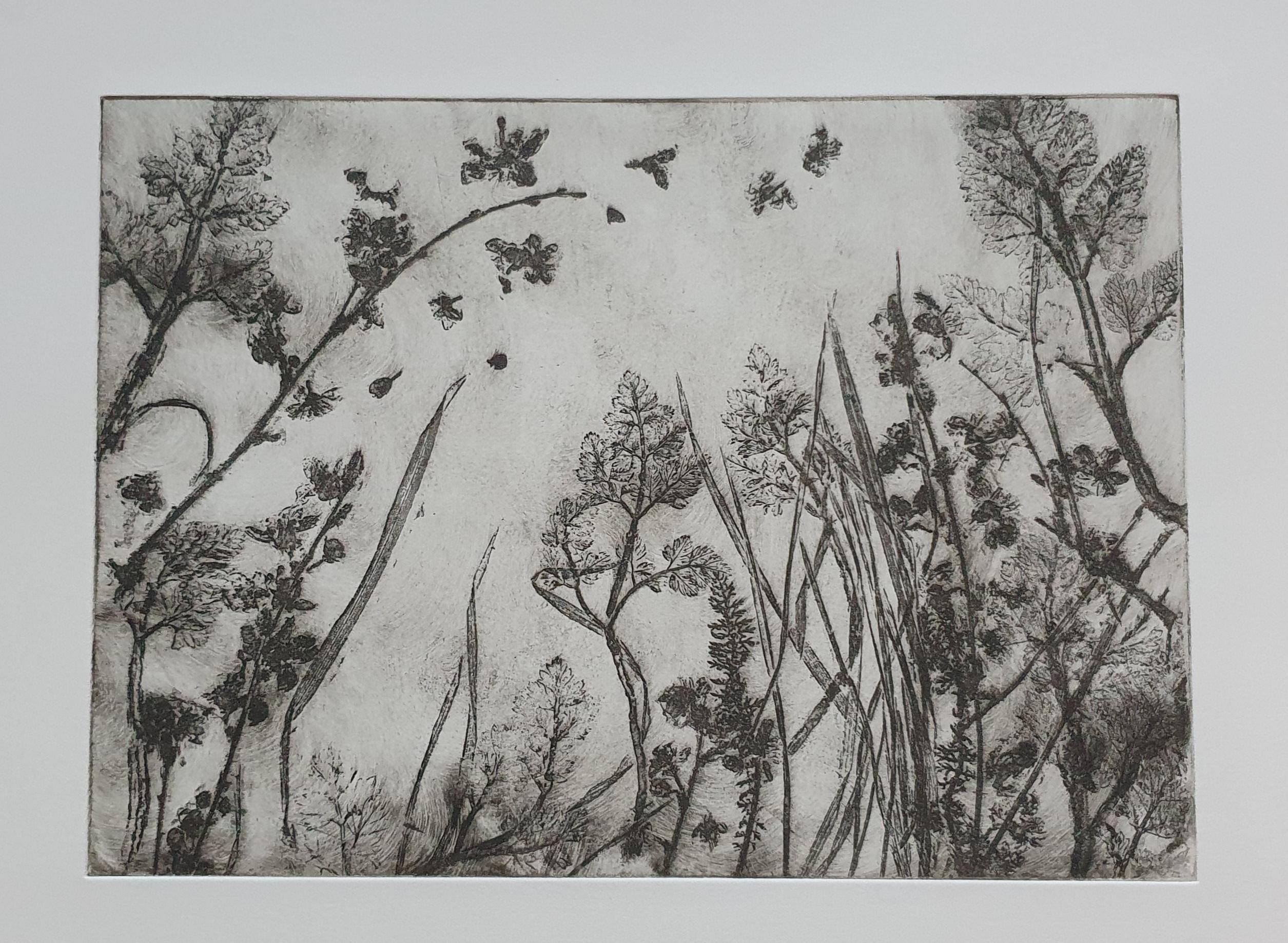 Charlie Davies Landscape Print - Caught on a Breeze #2 – Sepia