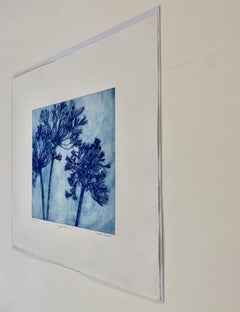 Charlie Davies, Agapanthus, Stampa floreale in edizione limitata, Arte accessibile