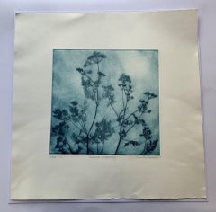 Charlie Davies, Delicate Cowparsley, stampa floreale all'acquaforte in edizione limitata