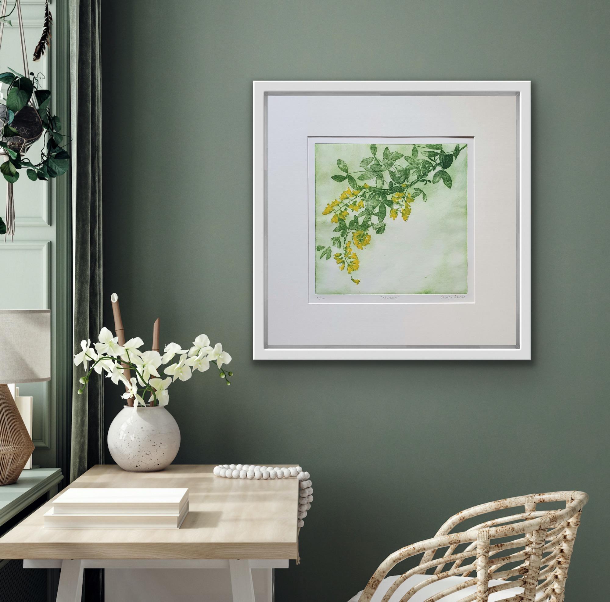 Laburnum, Floral Art, Delicate Pastel Artwork, Bedroom Art, Kitchen Art - Print by Charlie Davies