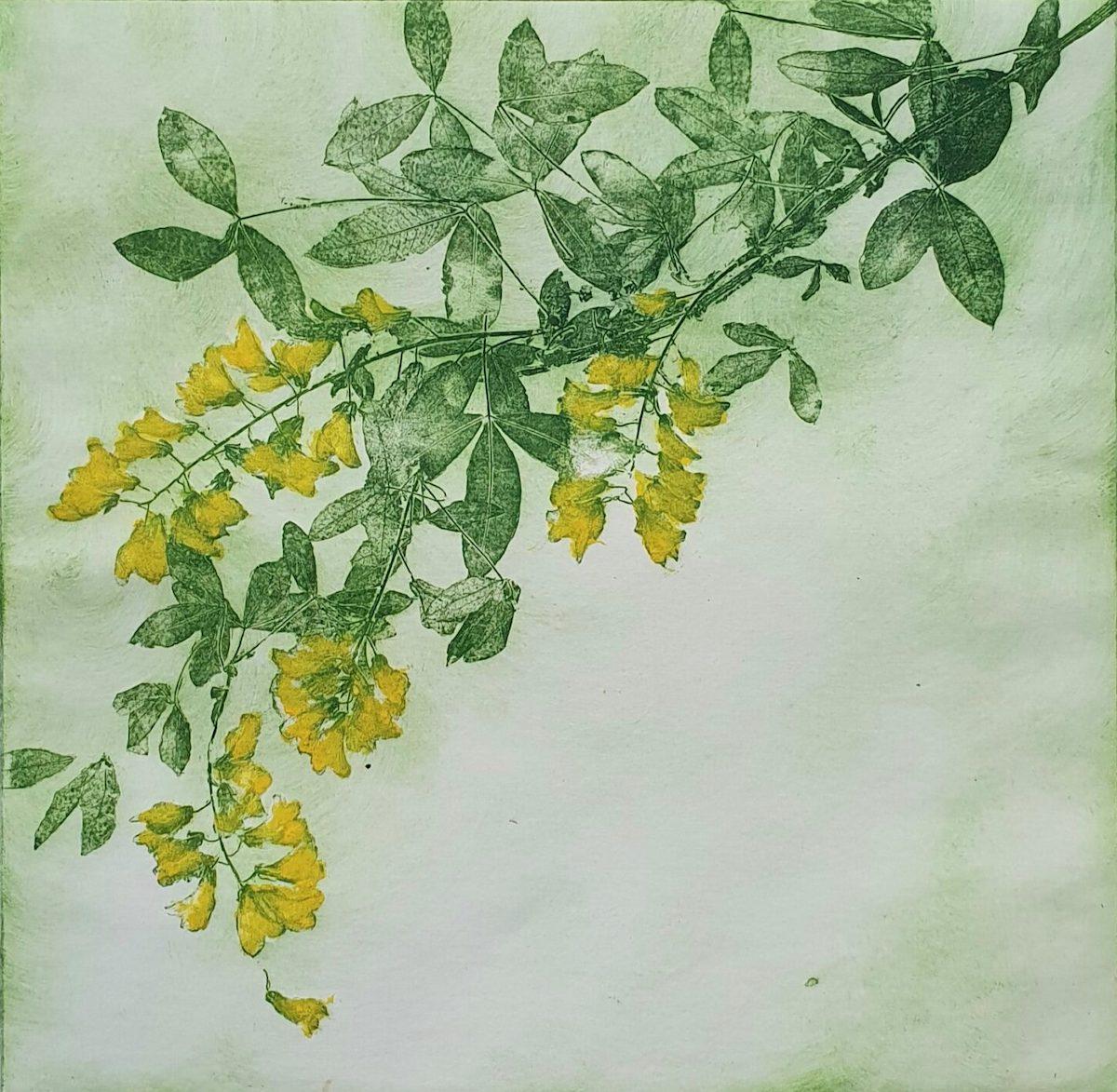 Charlie Davies Figurative Print - Laburnum, Floral Art, Delicate Pastel Artwork, Bedroom Art, Kitchen Art