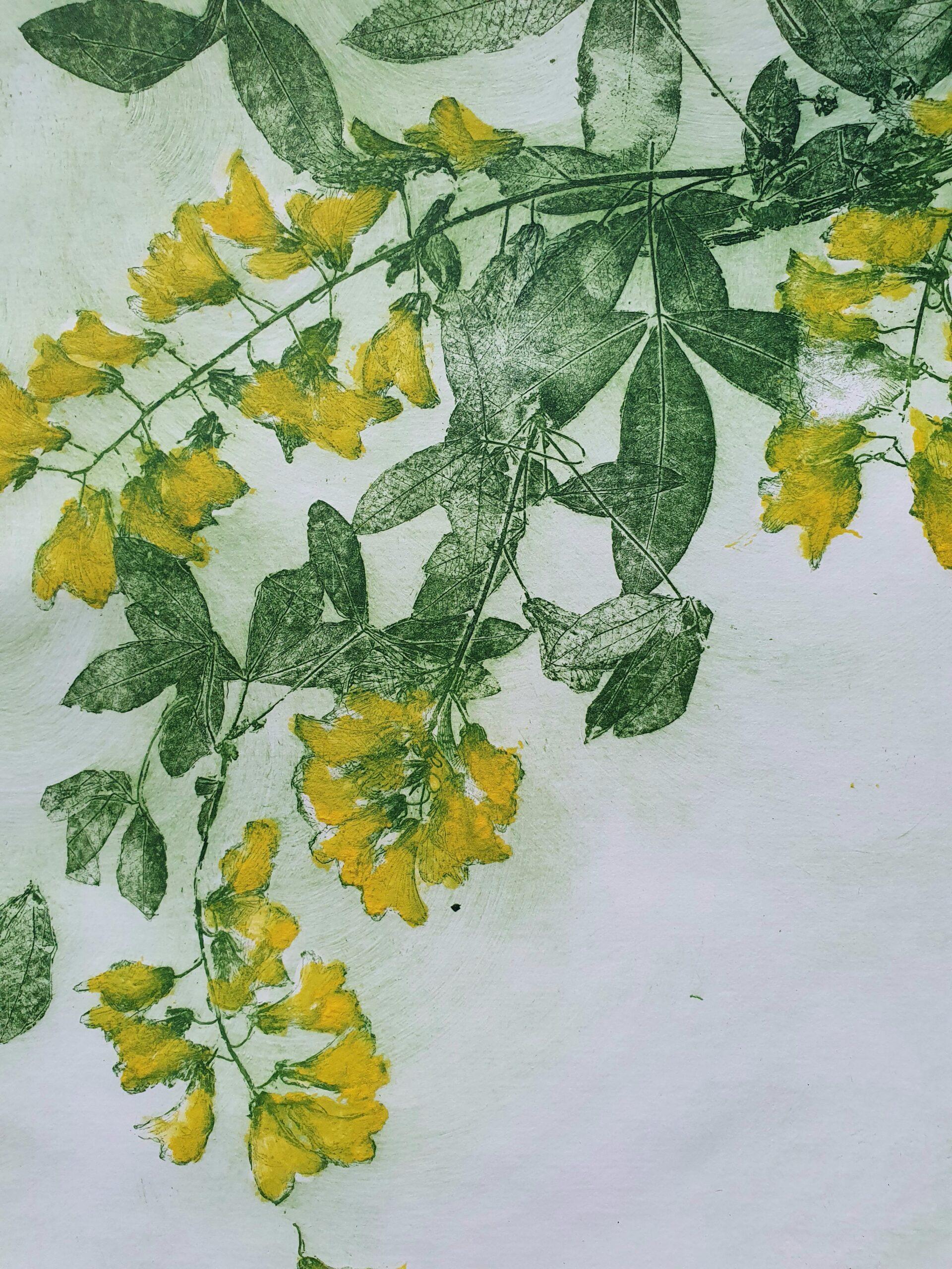 Laburnum - Contemporary Print by Charlie Davies