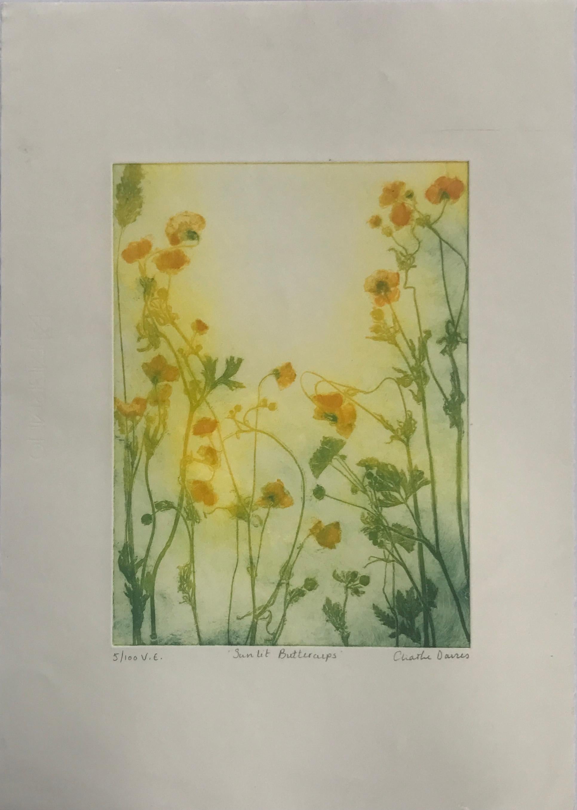 Sunlit Buttercups by Charlie Davies is a limited edition print made using real flowers and fauna from nature to make the etching plate. Part of the printmaking process that Charlie has so tastefully mastered produces slight variations when rubbing