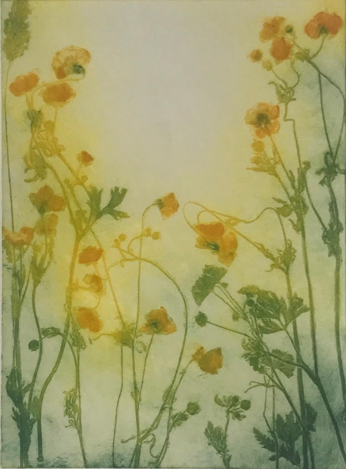 Charlie Davies Print – Sonnenbeschienene Butterblumen
