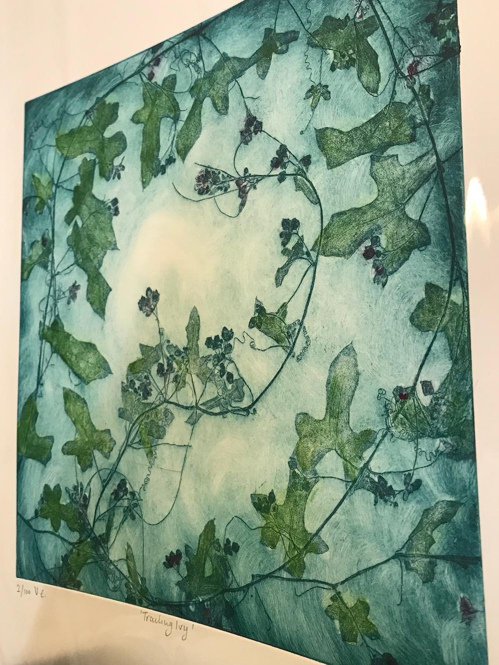 Trailing Ivy  - Print by Charlie Davies
