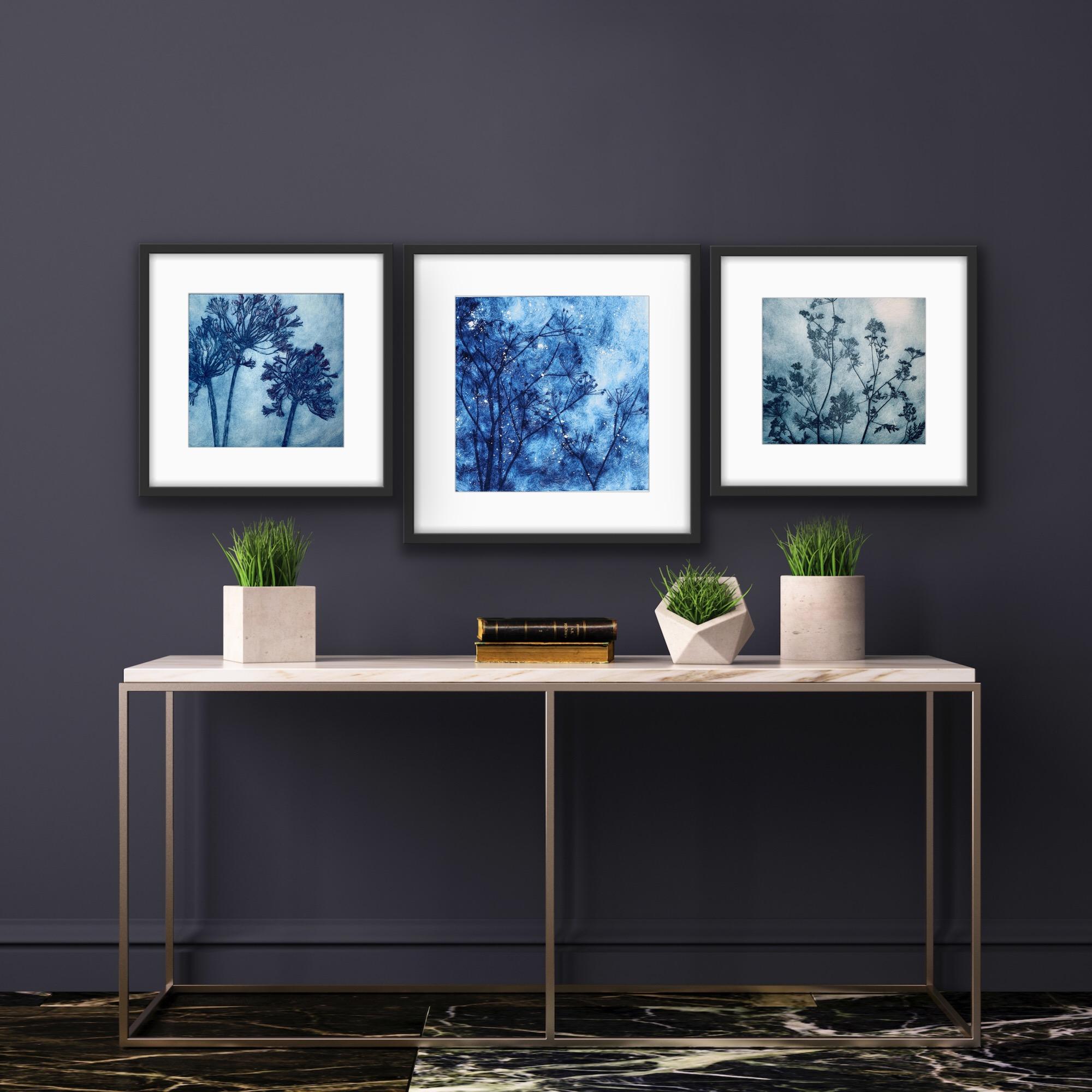 Winter Winds, Agapanthus and Delicate Cowparsley Triptych - Print by Charlie Davies