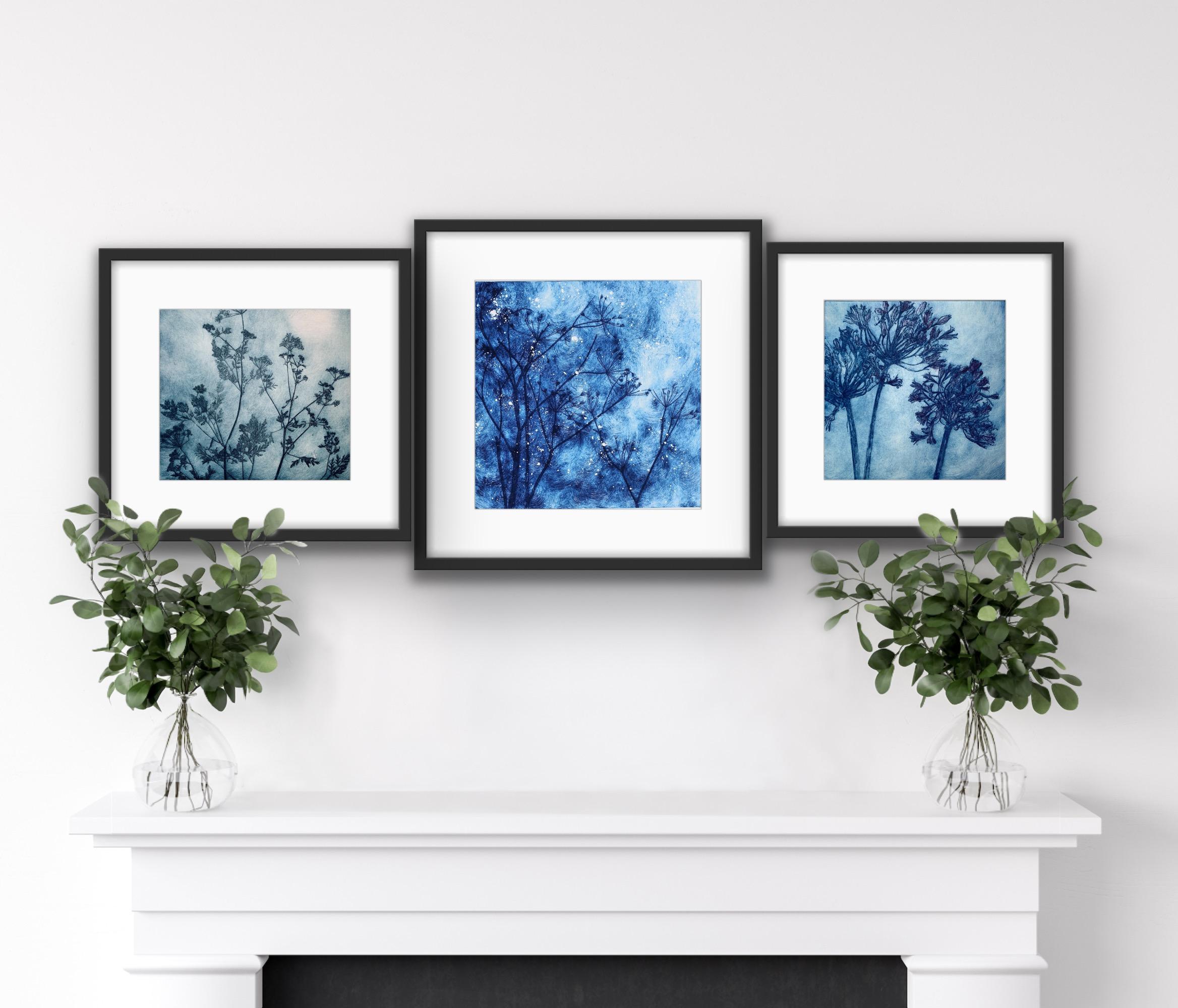 agapanthus triptych