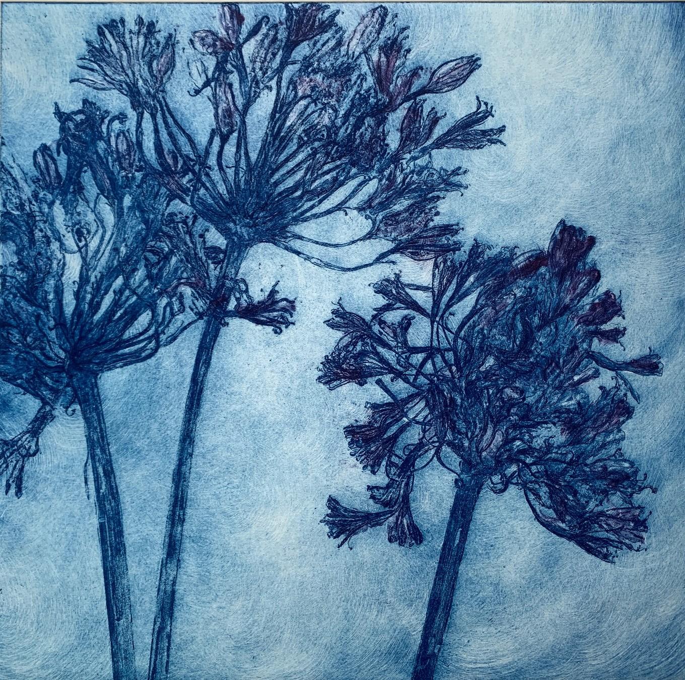 Winter Winds, Agapanthus and Delicate Cowparsley Triptych - Contemporary Print by Charlie Davies
