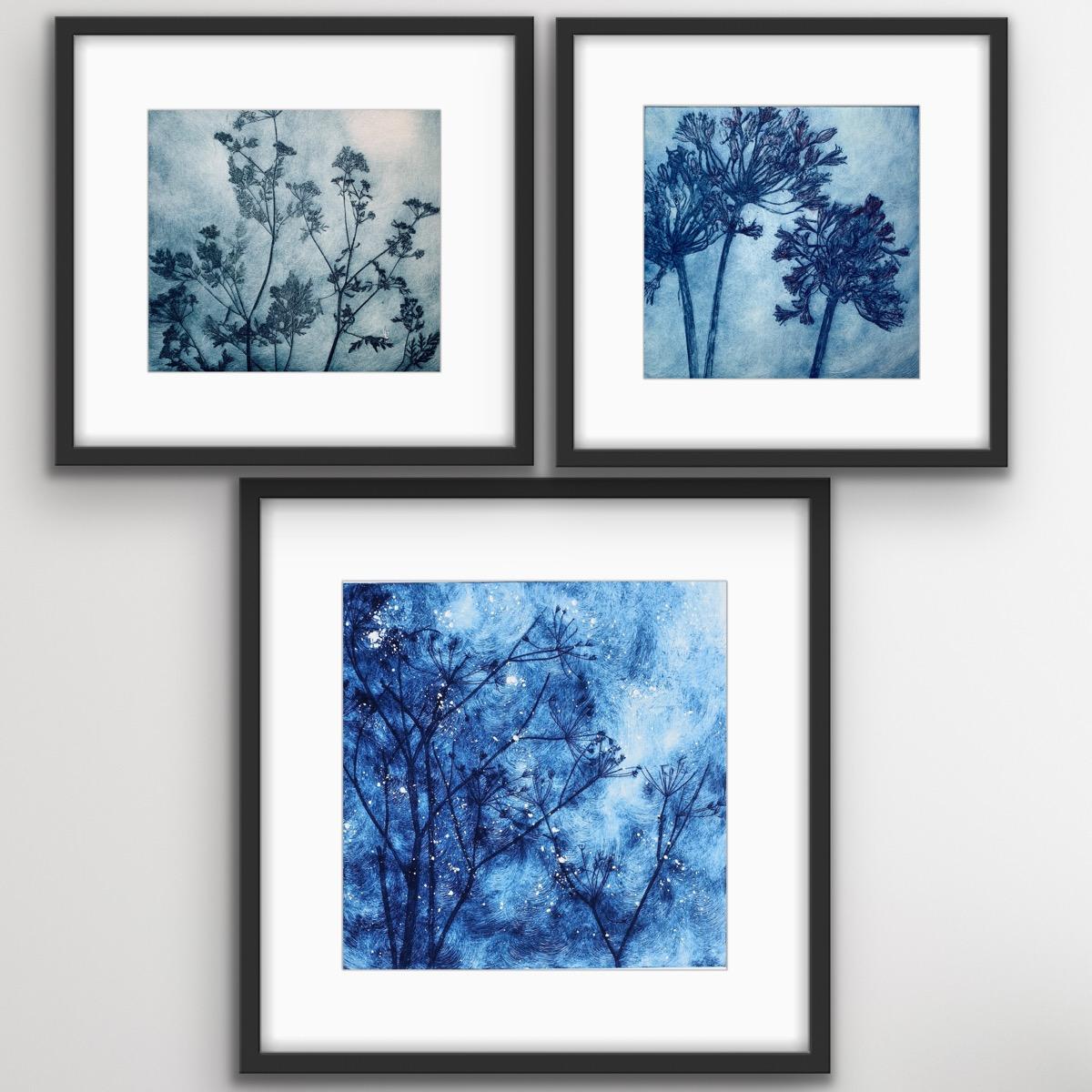 Charlie Davies Still-Life Print - Winter Winds, Agapanthus and Delicate Cowparsley Triptych