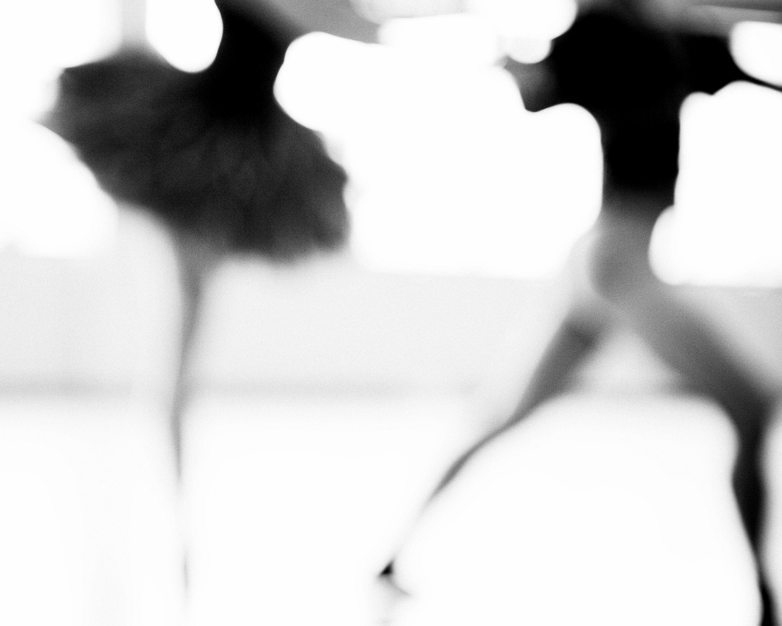 Figurative Photograph di Charlie McCullers - "Whiting No. 255" - balletto, bianco e nero, figurativo, ballerina, movimento