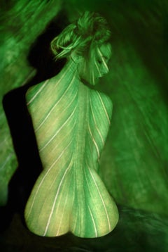 French Contemporary Photography by Charlotte Brunstein - Naturessence 1