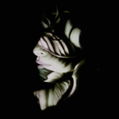 French Contemporary Photography by Charlotte Brunstein - Naturessence 9